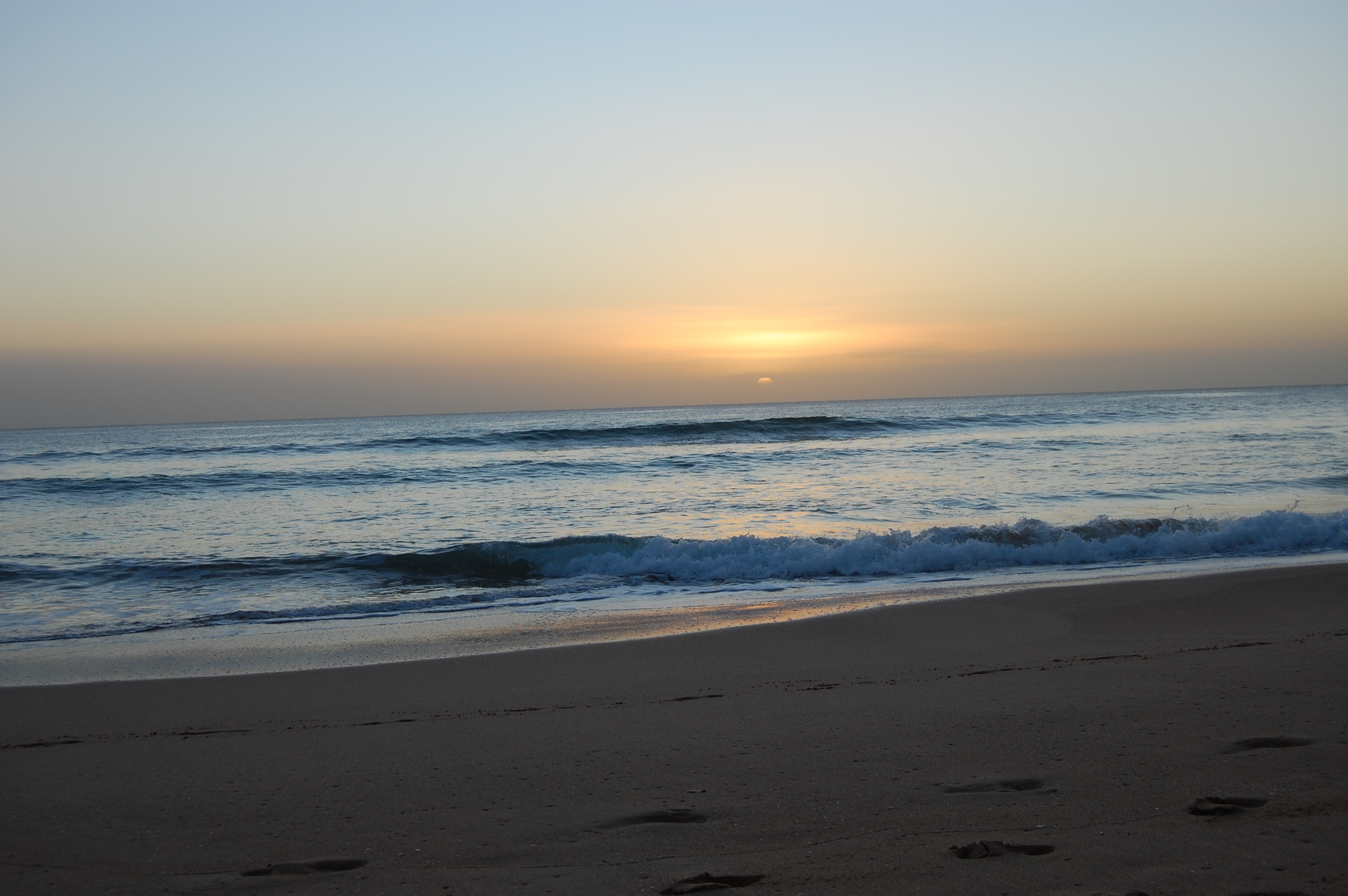 Free download MOLD MILDEW FEMAgov Federal Emergency Management [520x314