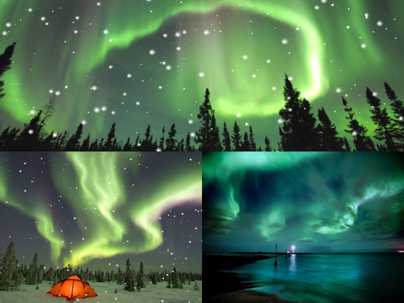 Aurora Borealis Animated Wallpaper Desktopanimated