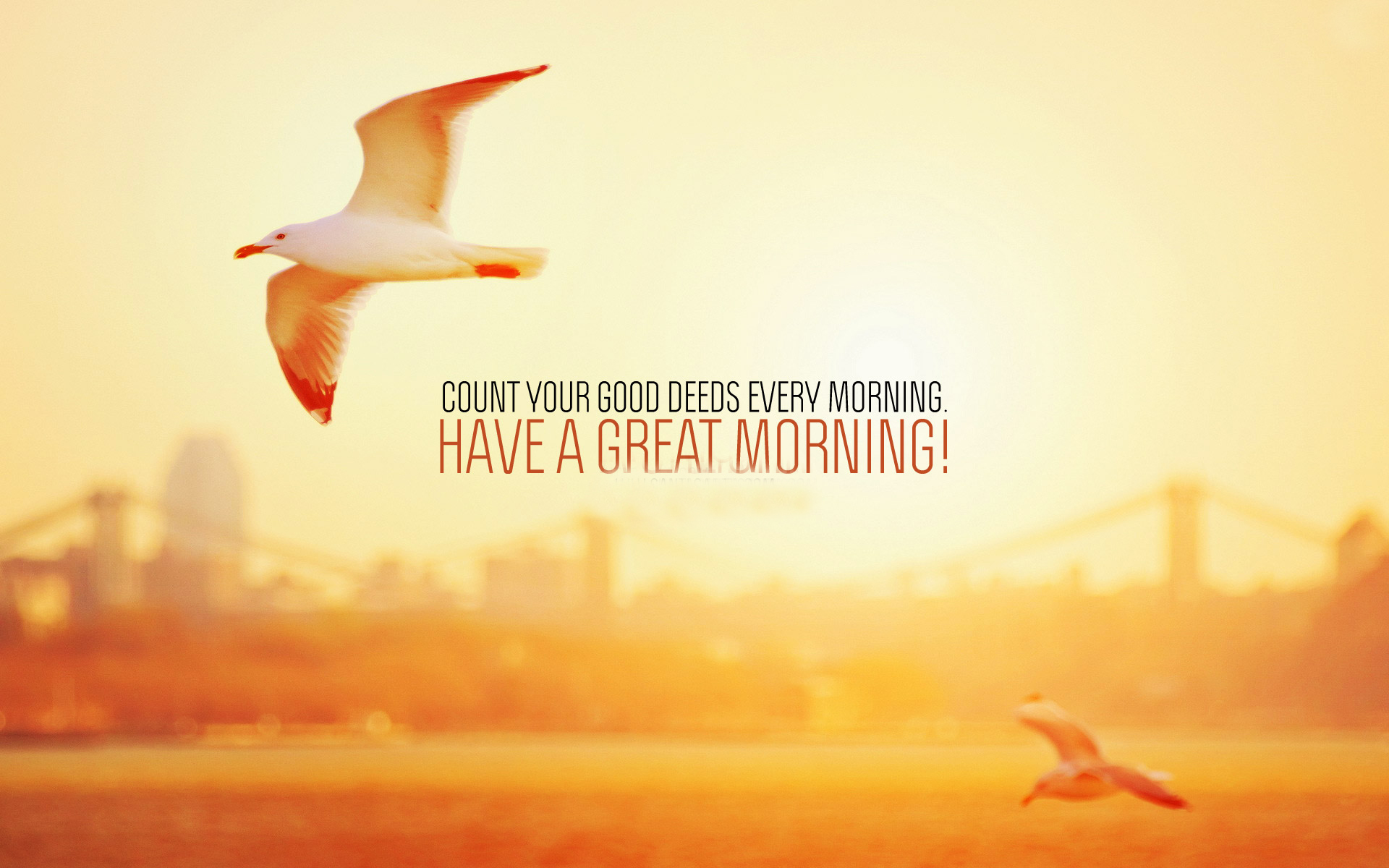 Have A Great Day Wallpaper