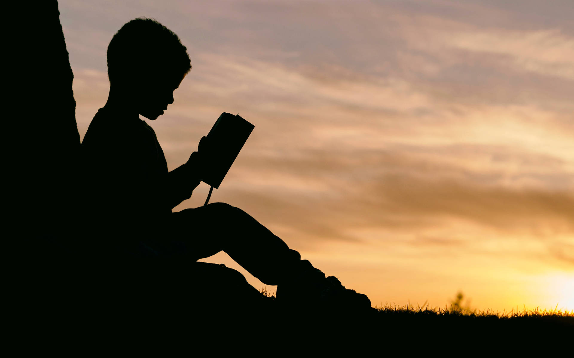 Reading Book Wallpaper