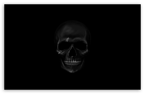Black Skull HD Wallpaper For Wide Widescreen Whxga Wqxga