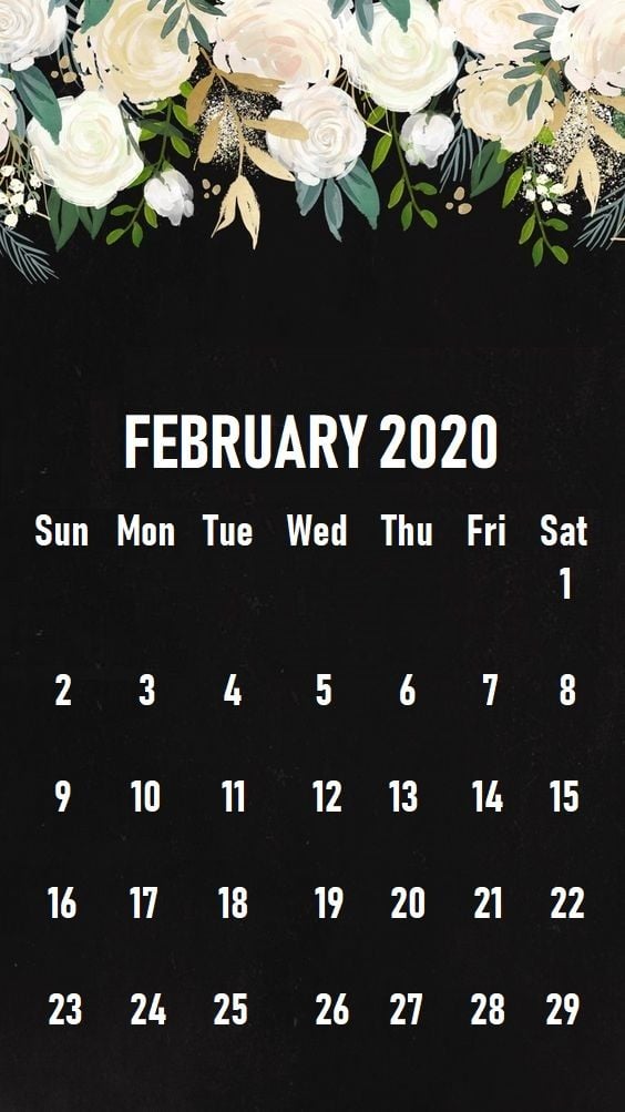 February 2020 iPhone Calendar Wallpaper in 2019 Calendar 564x1003