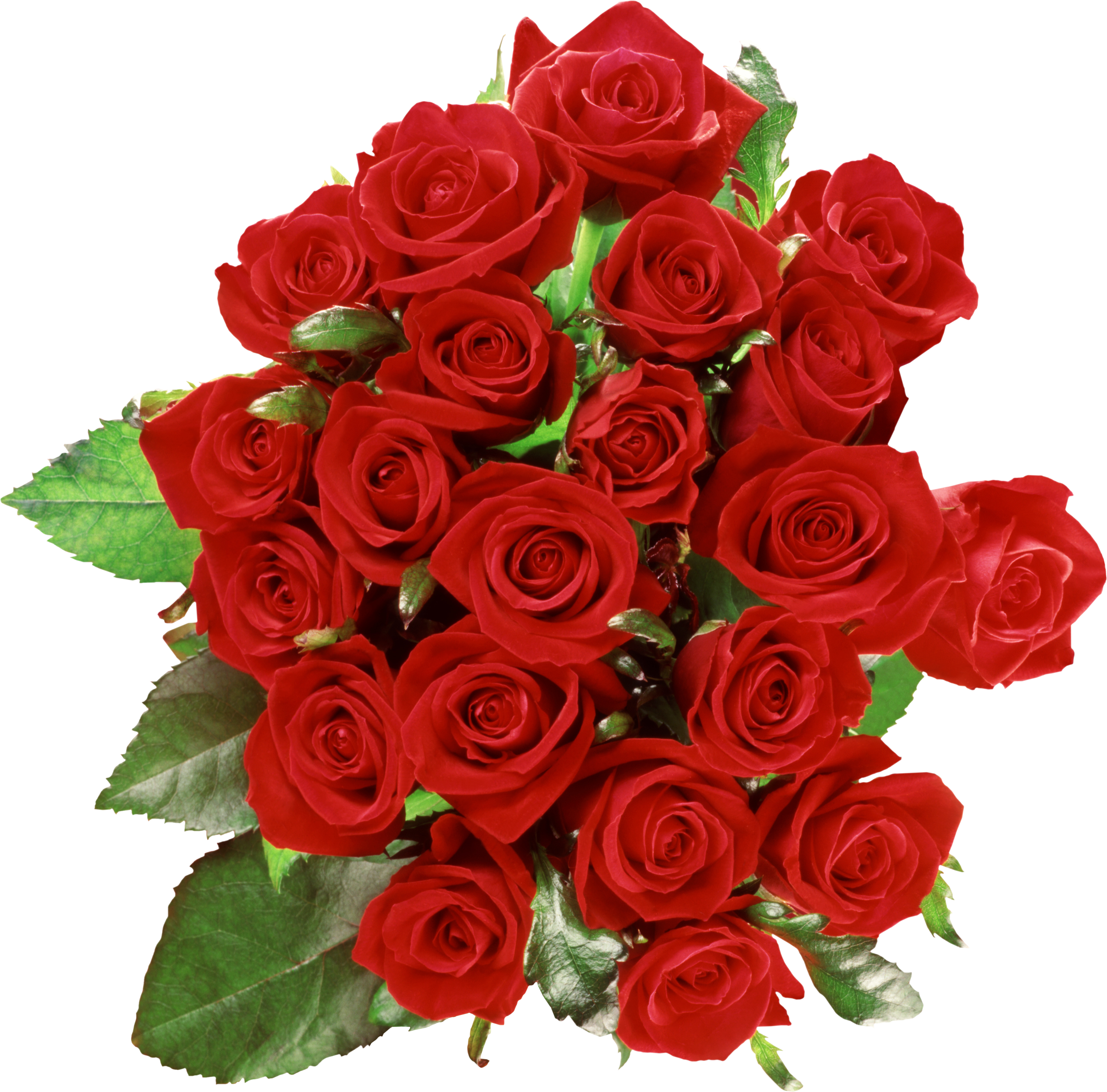 Free download Gulab Phool Wallpaper 41 Group Wallpapers Bouquet Of Roses  Png [2838x2800] for your Desktop, Mobile & Tablet | Explore 48+ Phool  Wallpaper |