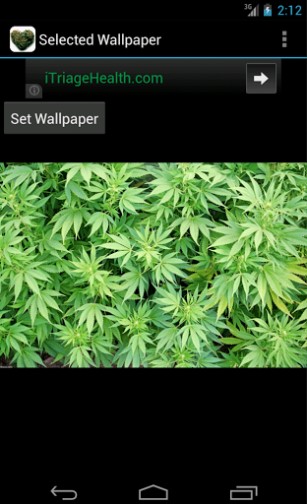 Best Weed Wallpaper Bigger