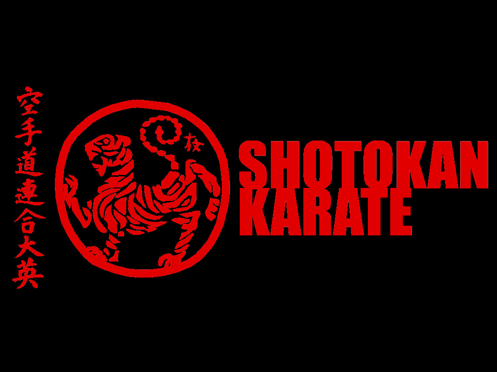 Shotokan Karate Wallpaper for Pinterest