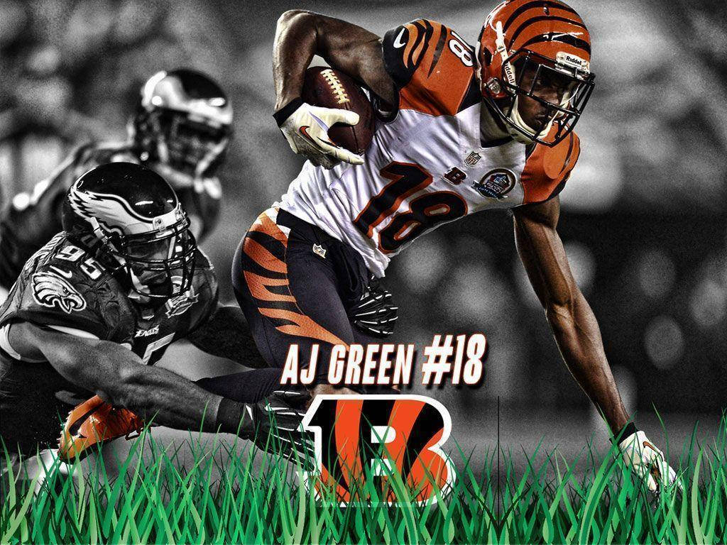 Nfl Players Wallpaper