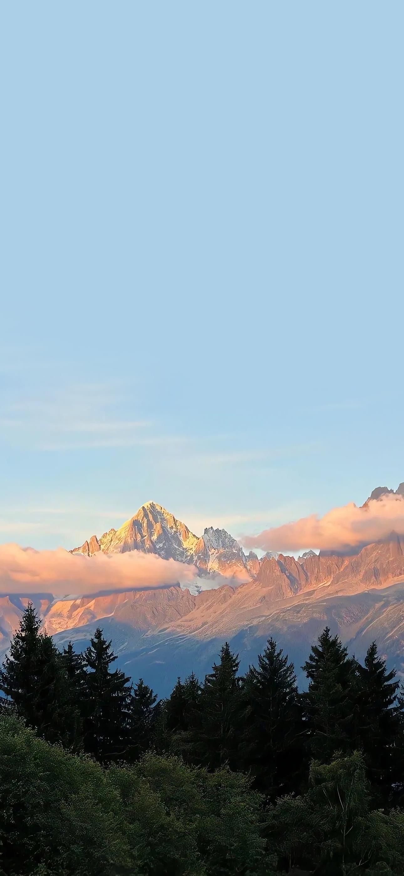5d91278c4e8561e67a49d15e3c292a95 Wallpaper
