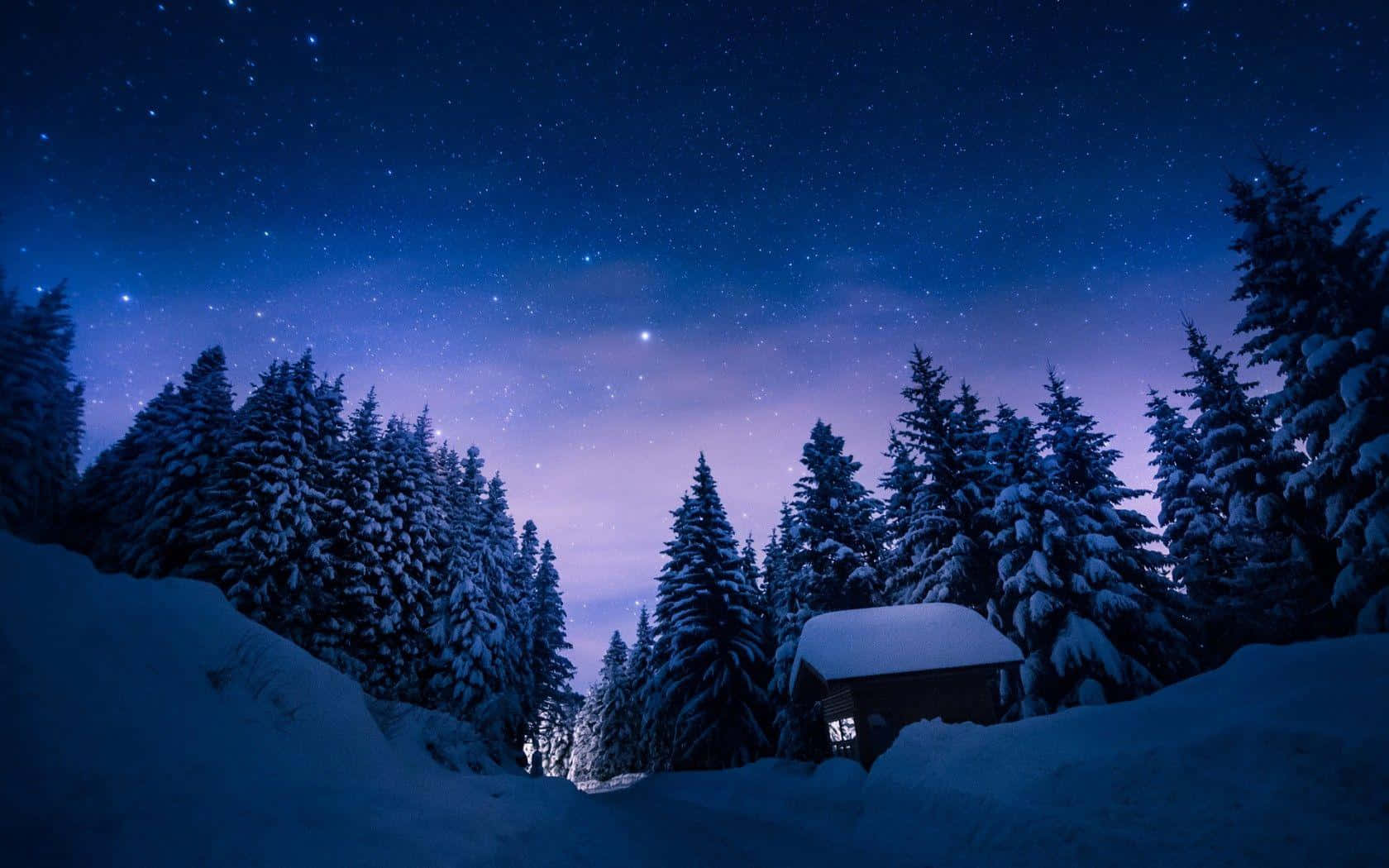 Winter Night Desktop Wallpaper