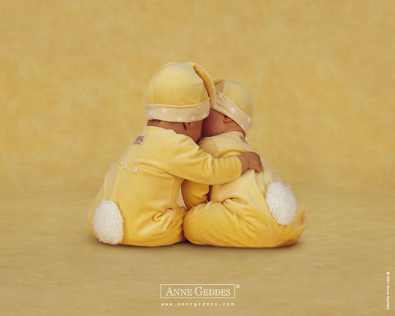 The Reel Foto Anne Geddes Babies Everywhere