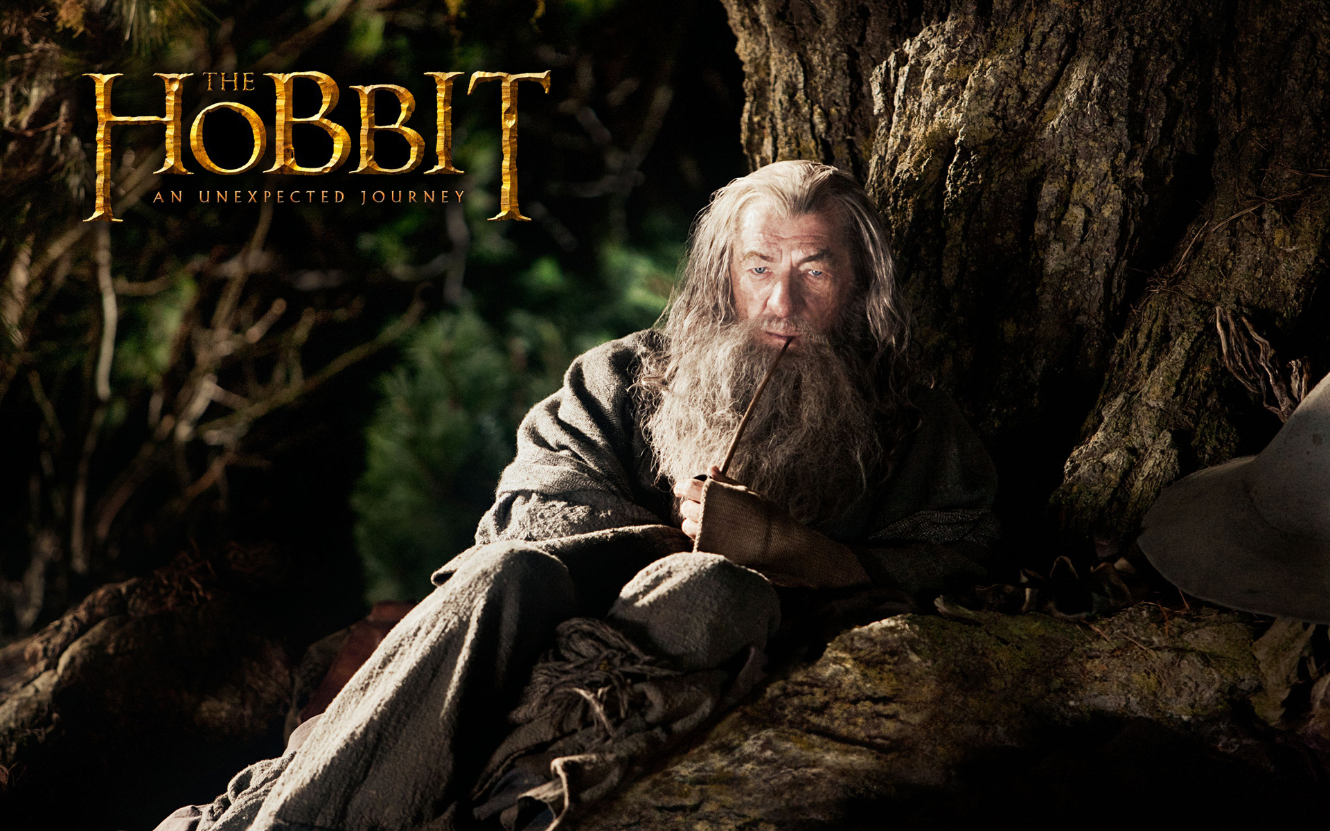 The Hobbit An Unexpected Journey HQ Wallpapers   Movie Wallpapers