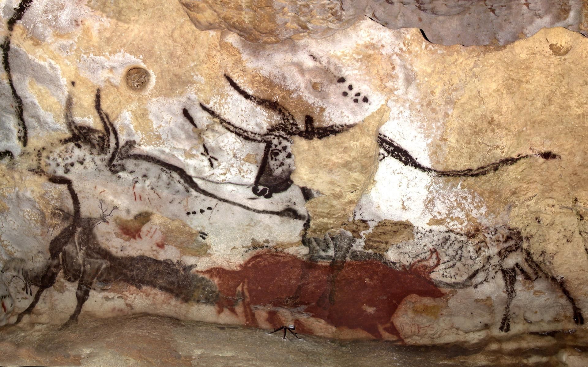 Paleolithic Wall Art In Lascaux Wallpaper Resolution