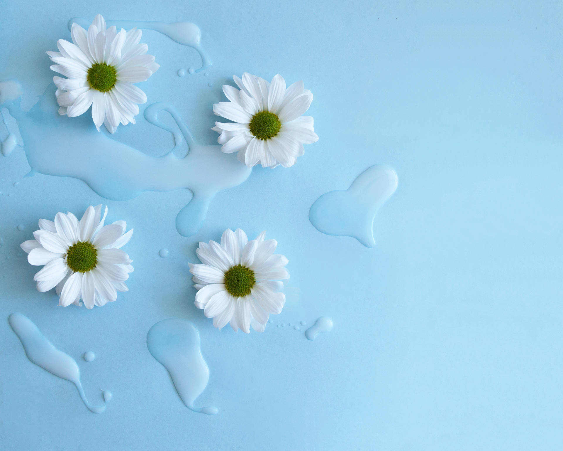 Aesthetic Flower Wallpaper