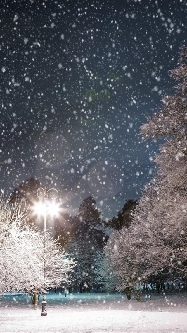 Winter Scenery iPhone Wallpaper S HD Background