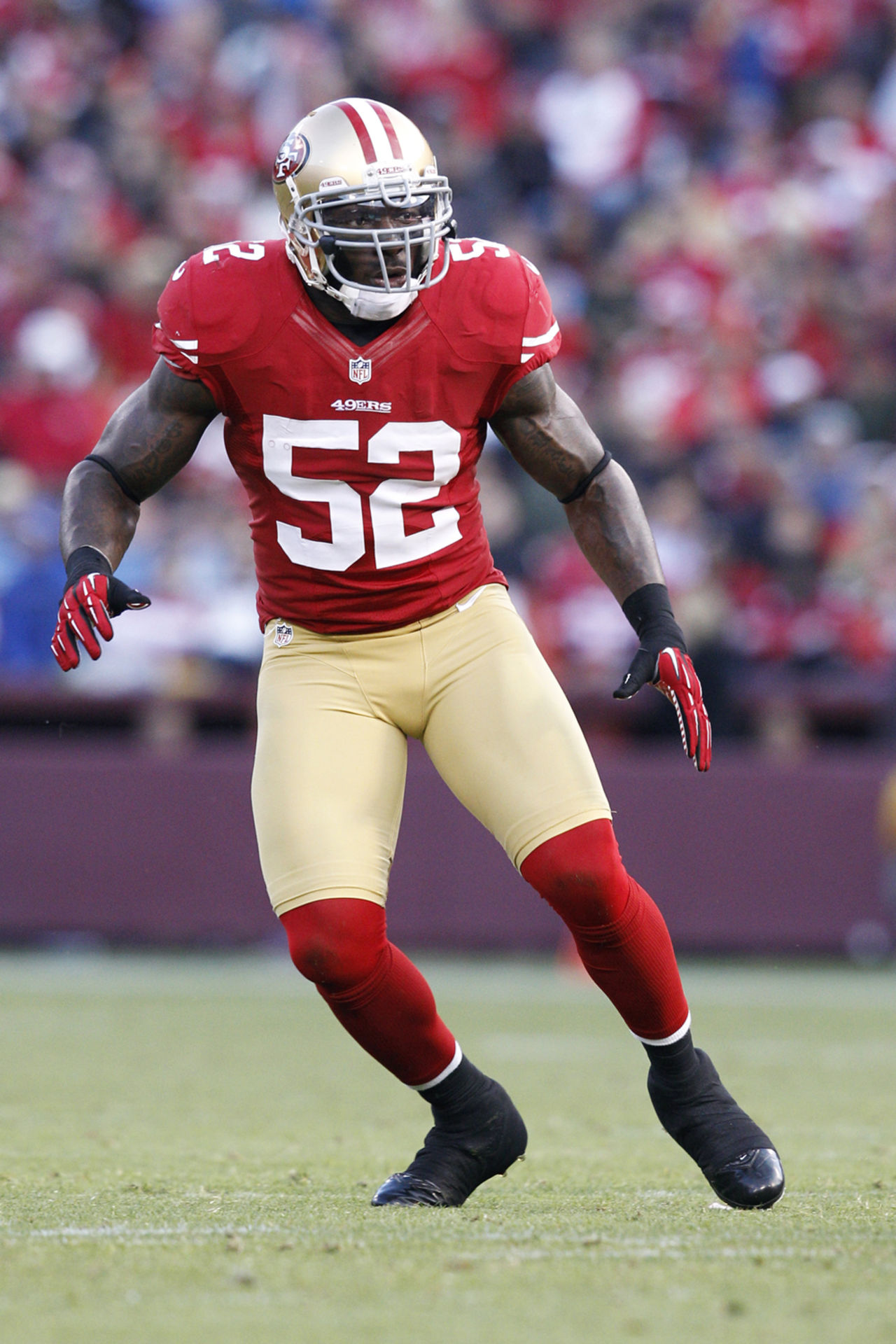 Patrick Willis Wallpapers High Quality Download 1280x1920