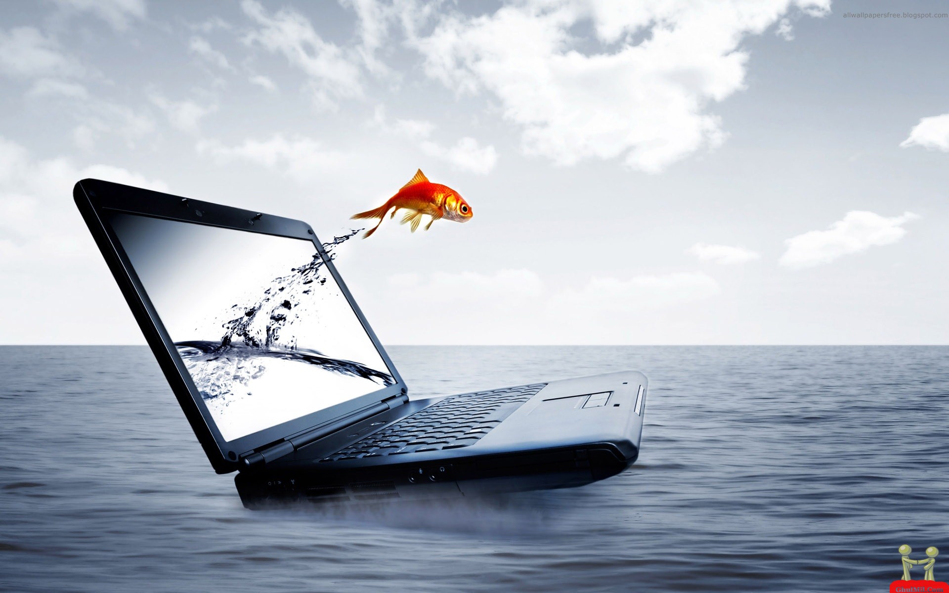3d Fish E Out From Laptop Screen Wallpaper Entertainment
