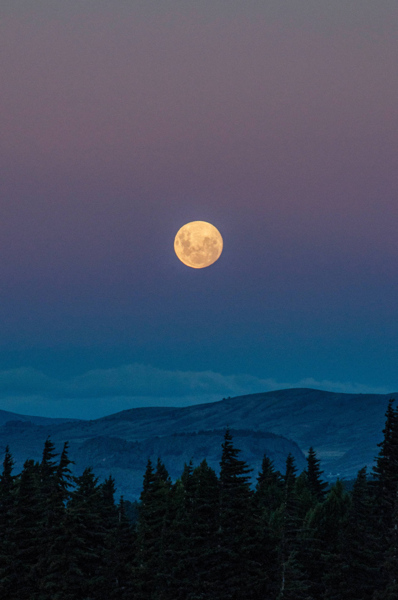Aesthetic Moon Wallpaper
