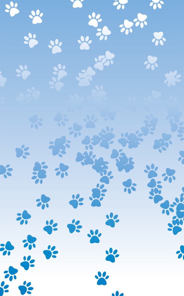 Paw Print Background Color HD Wallpaper