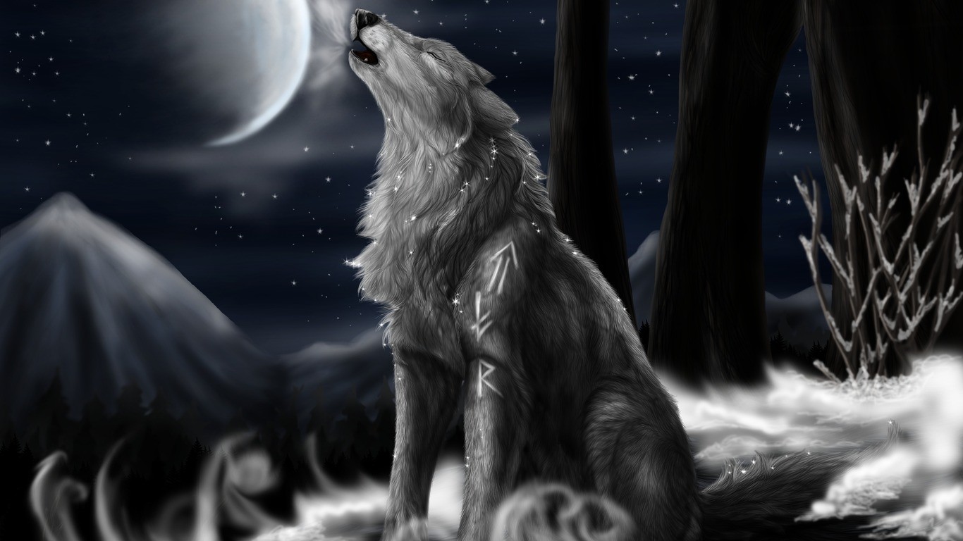 full moon angry wolf wallpaper Car Pictures