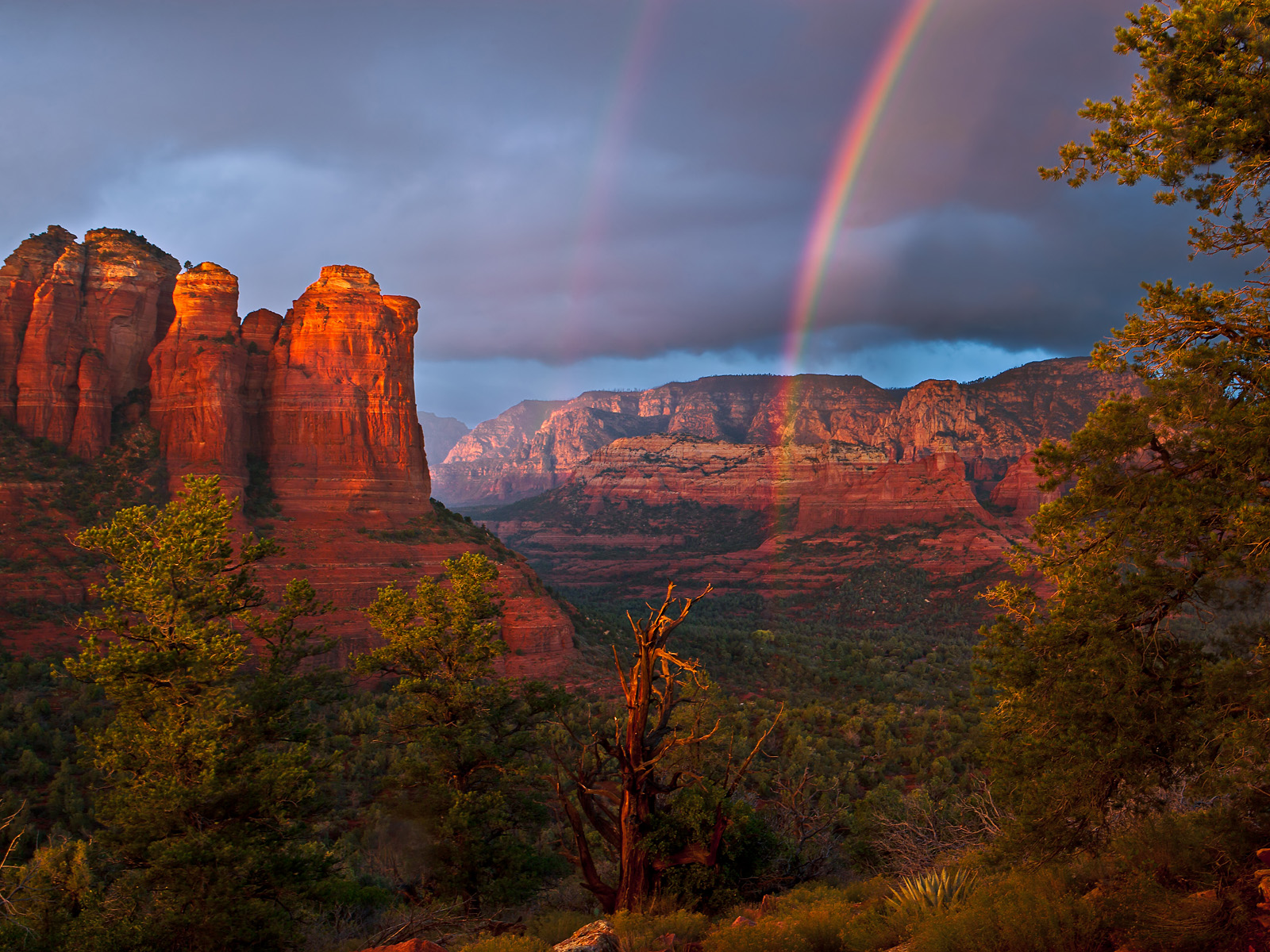 Red Rock Rainbow Secret Mountain Wilderness Near Sedona Arizona