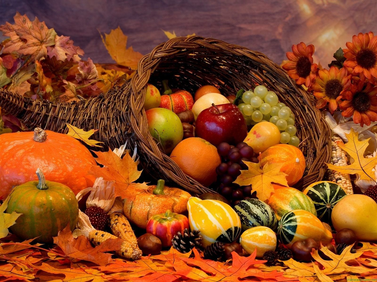 Thanksgiving Desktop Wallpaper Sf