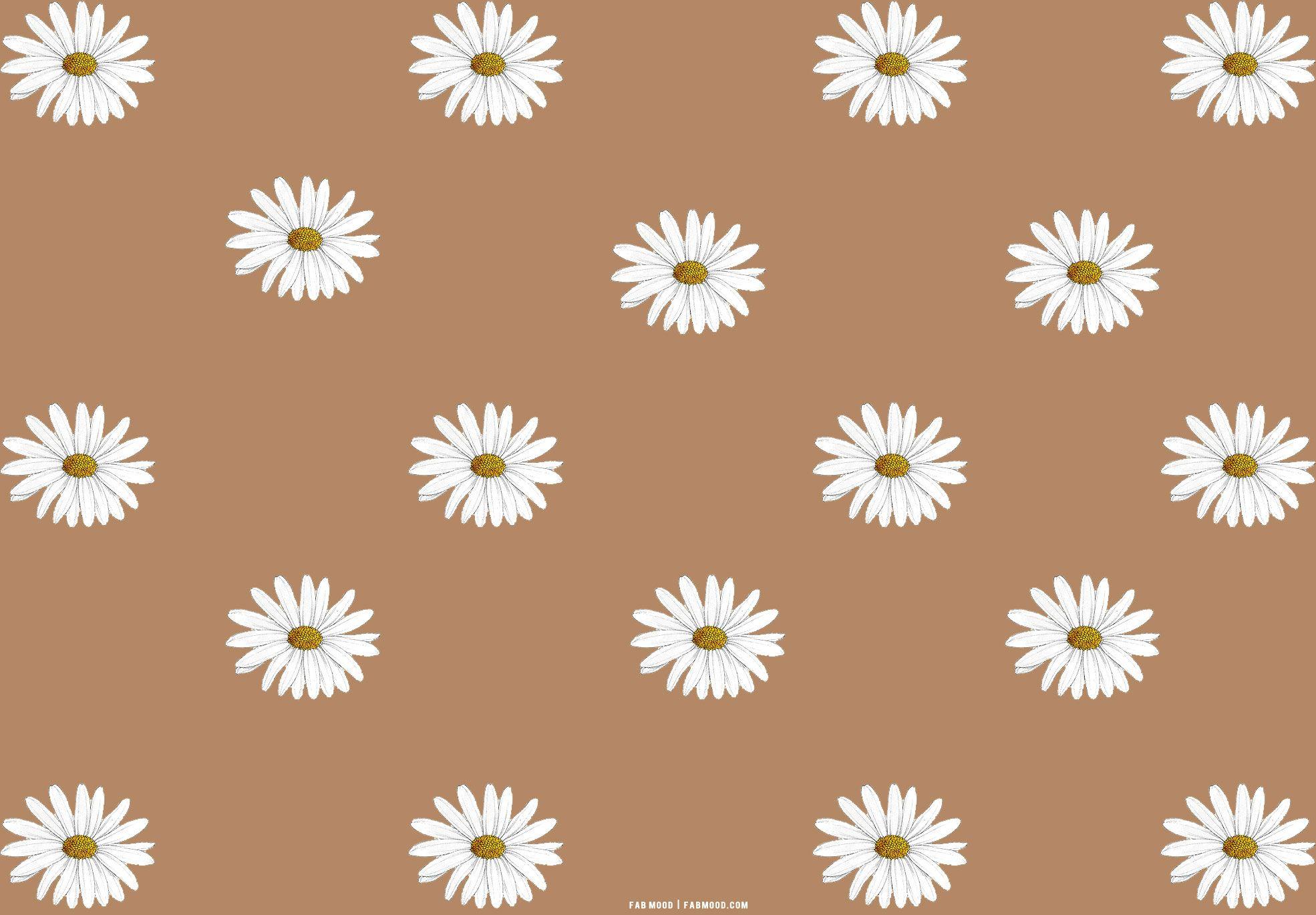 Brown Aesthetic Wallpaper