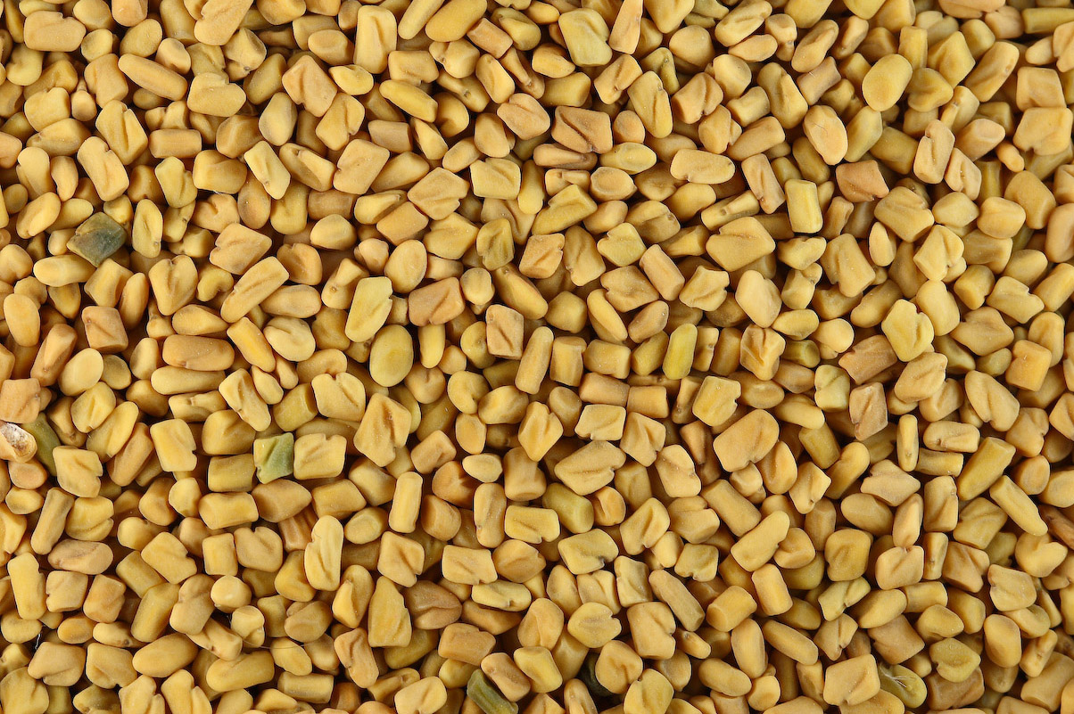 Fenugreek Wallpaper