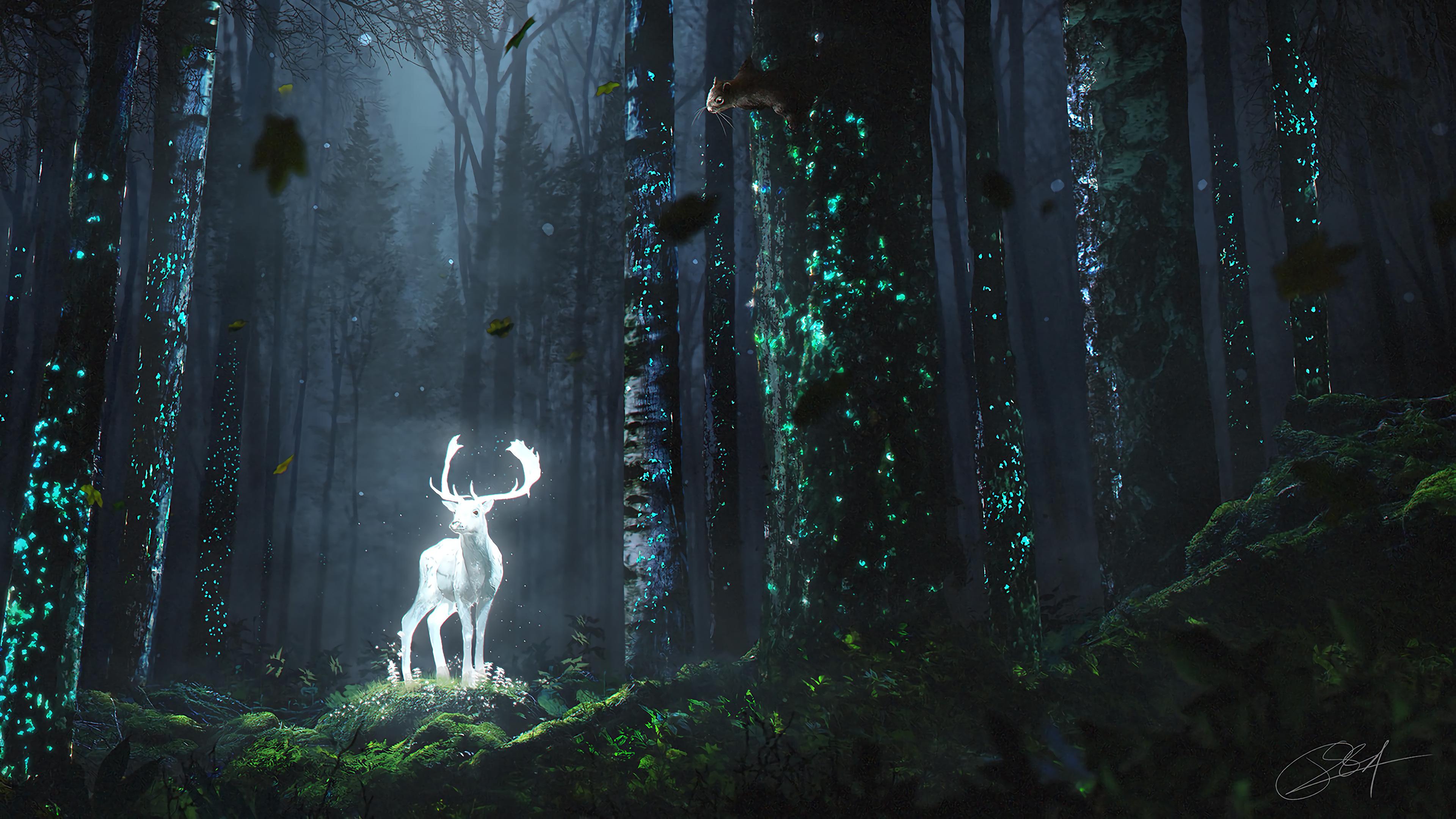 Deer Forest Night Nature Fantasy HD 4k Wallpaper