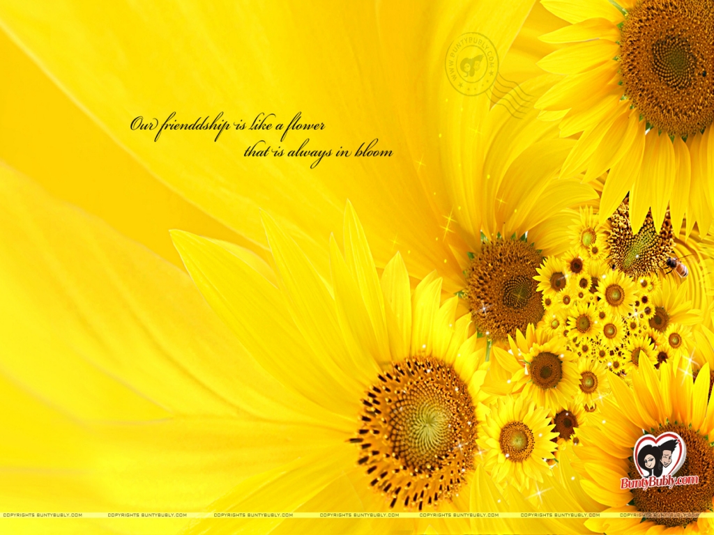 Re July Desktop Wallpaper Sunflower