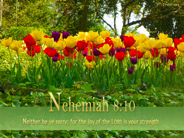 Nehemiah Scripture Wallpaper 21st Century Reformation