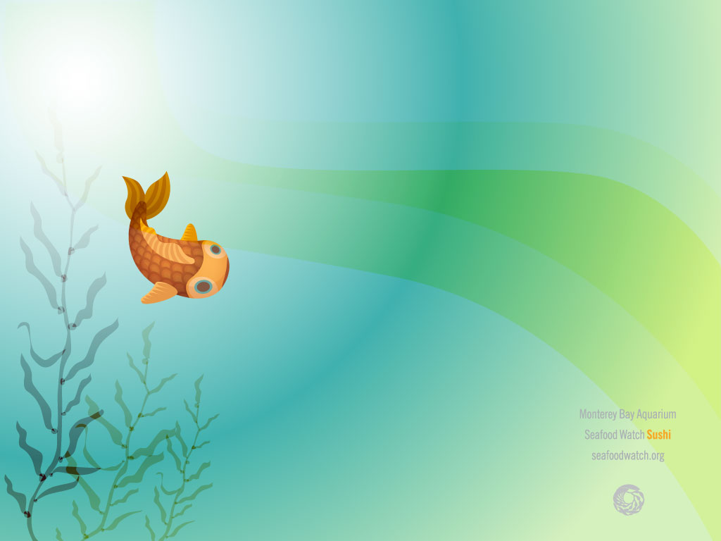 Free download Fish Wallpaper Border 1 [1024x768] for your Desktop