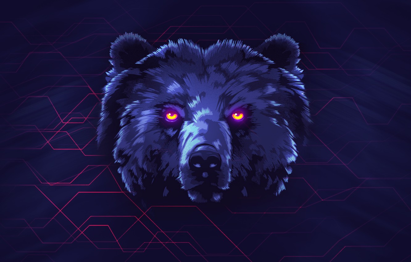 Wallpaper Bear Background Face Neon Animals James White