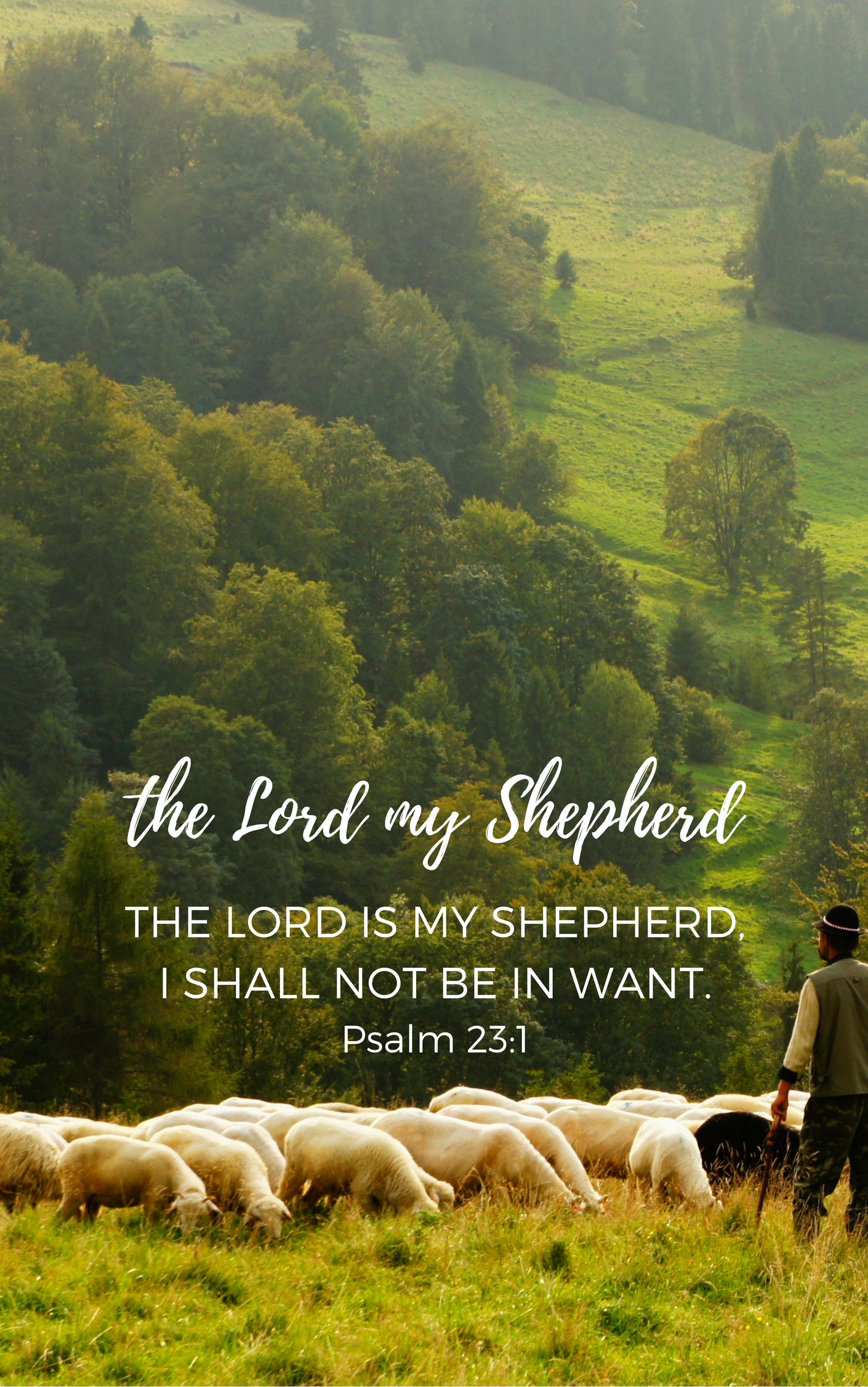 The Lord Is My Shepherd Carried Away Ministries