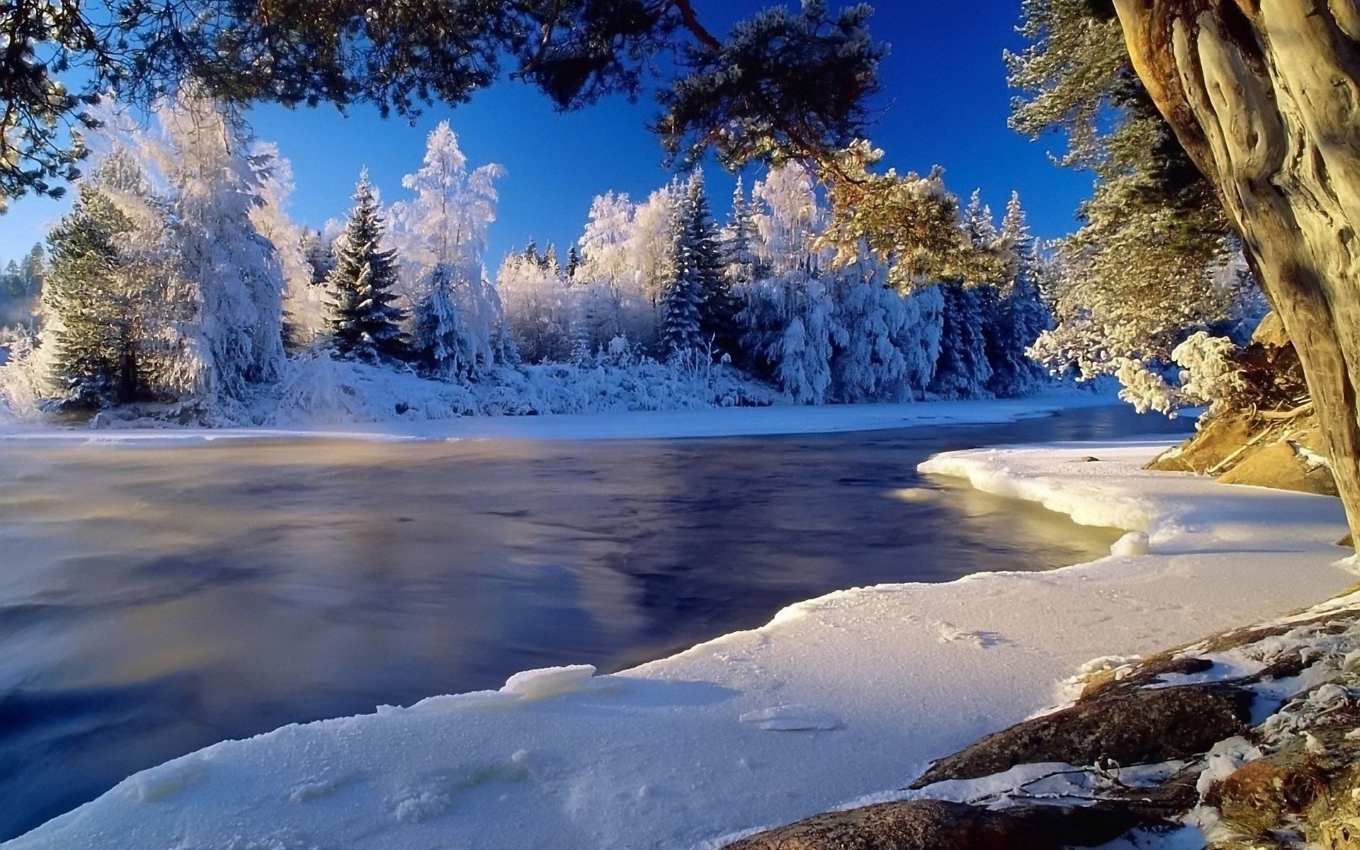 Winter Landscape Desktop Background