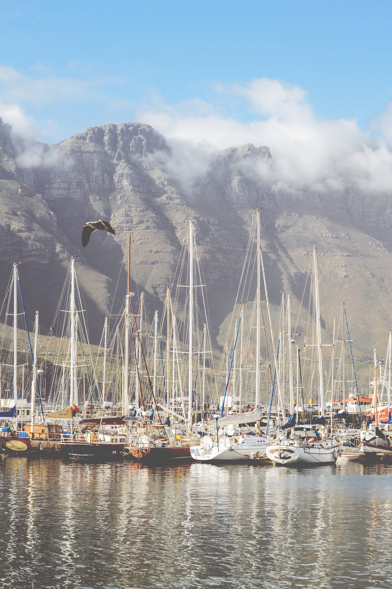Cape Town Wallpaper