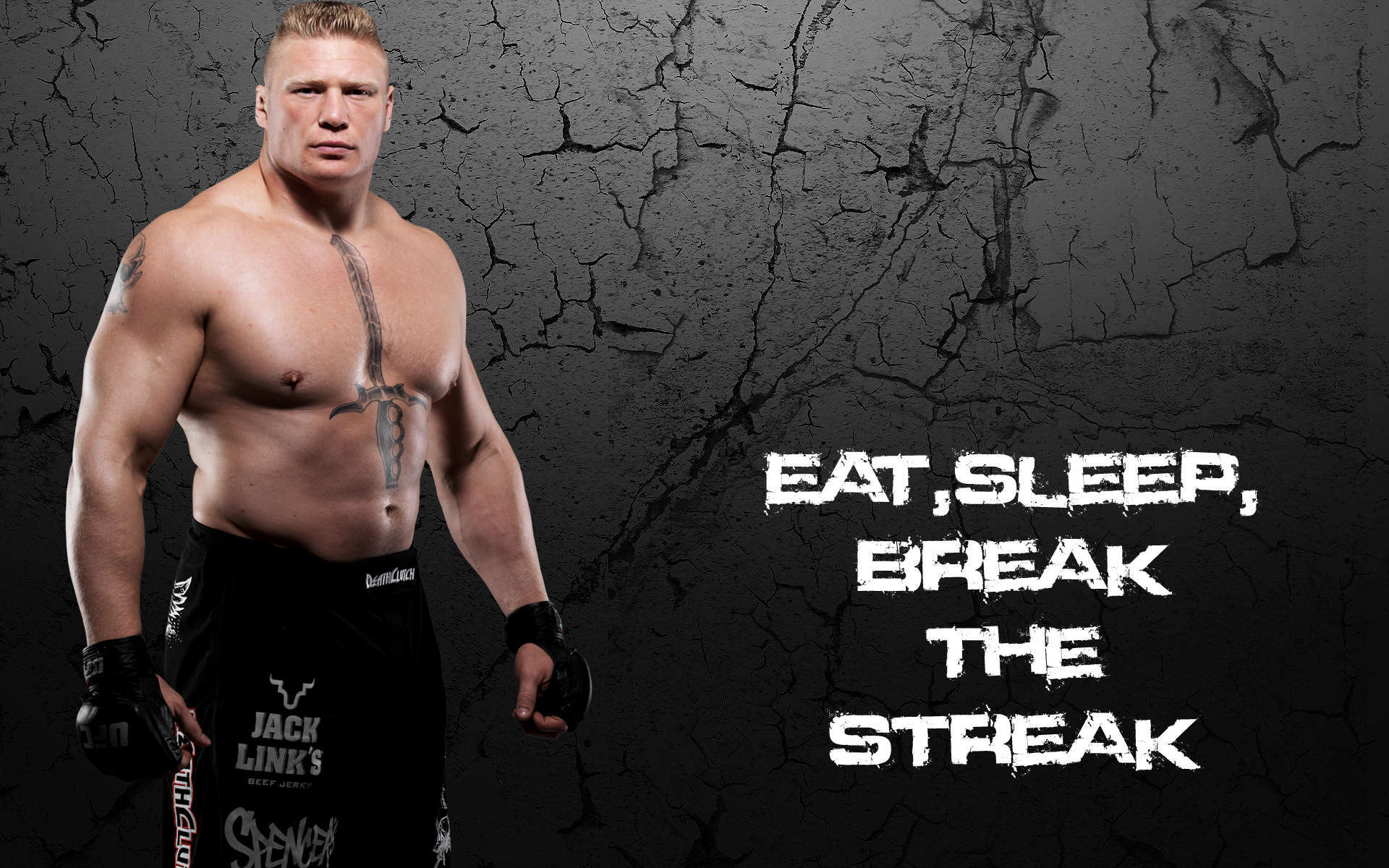 Wwe Champion Brock Lesnar HD Wallpaper