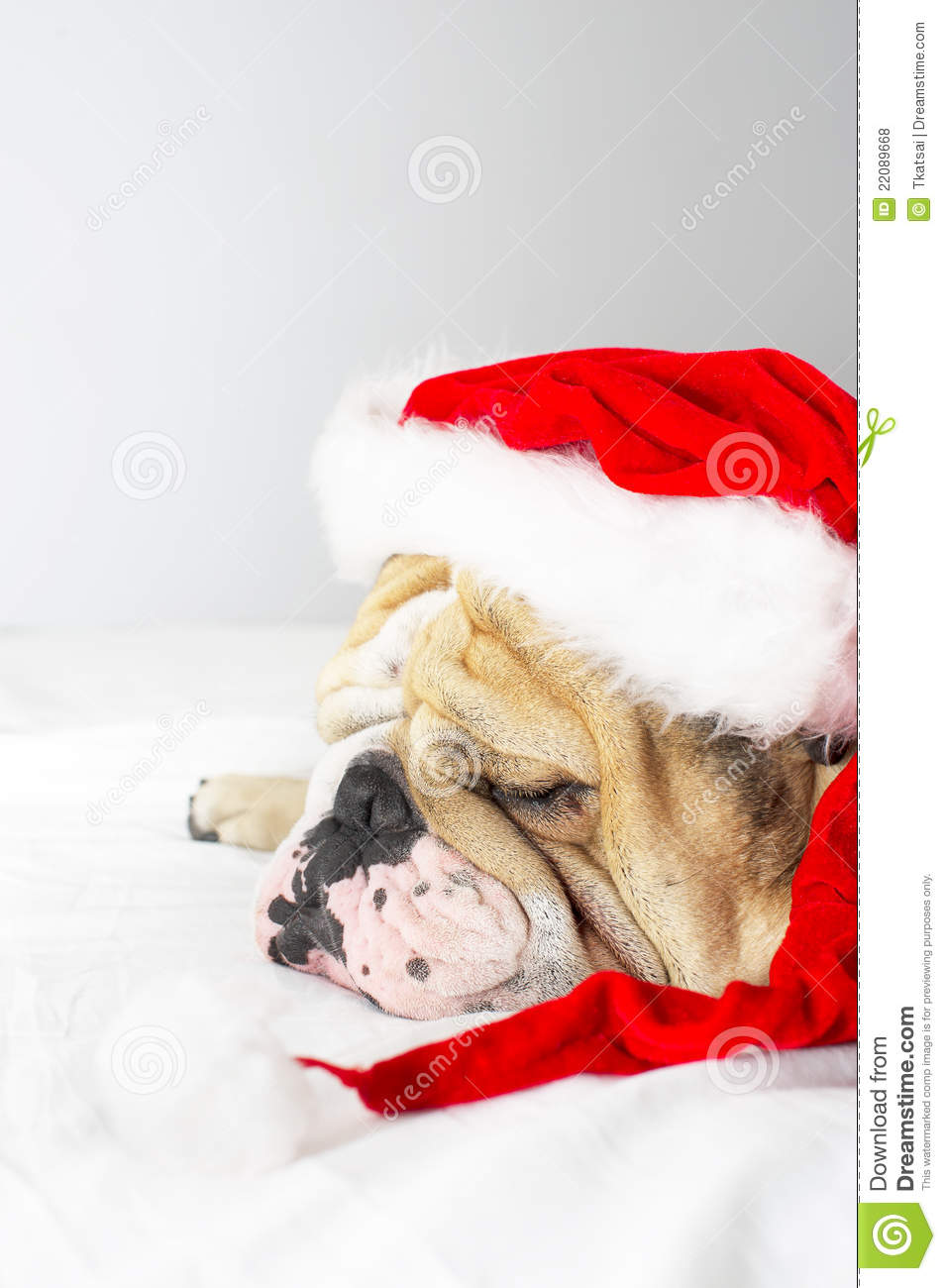 Christmas Bulldog In A Hat