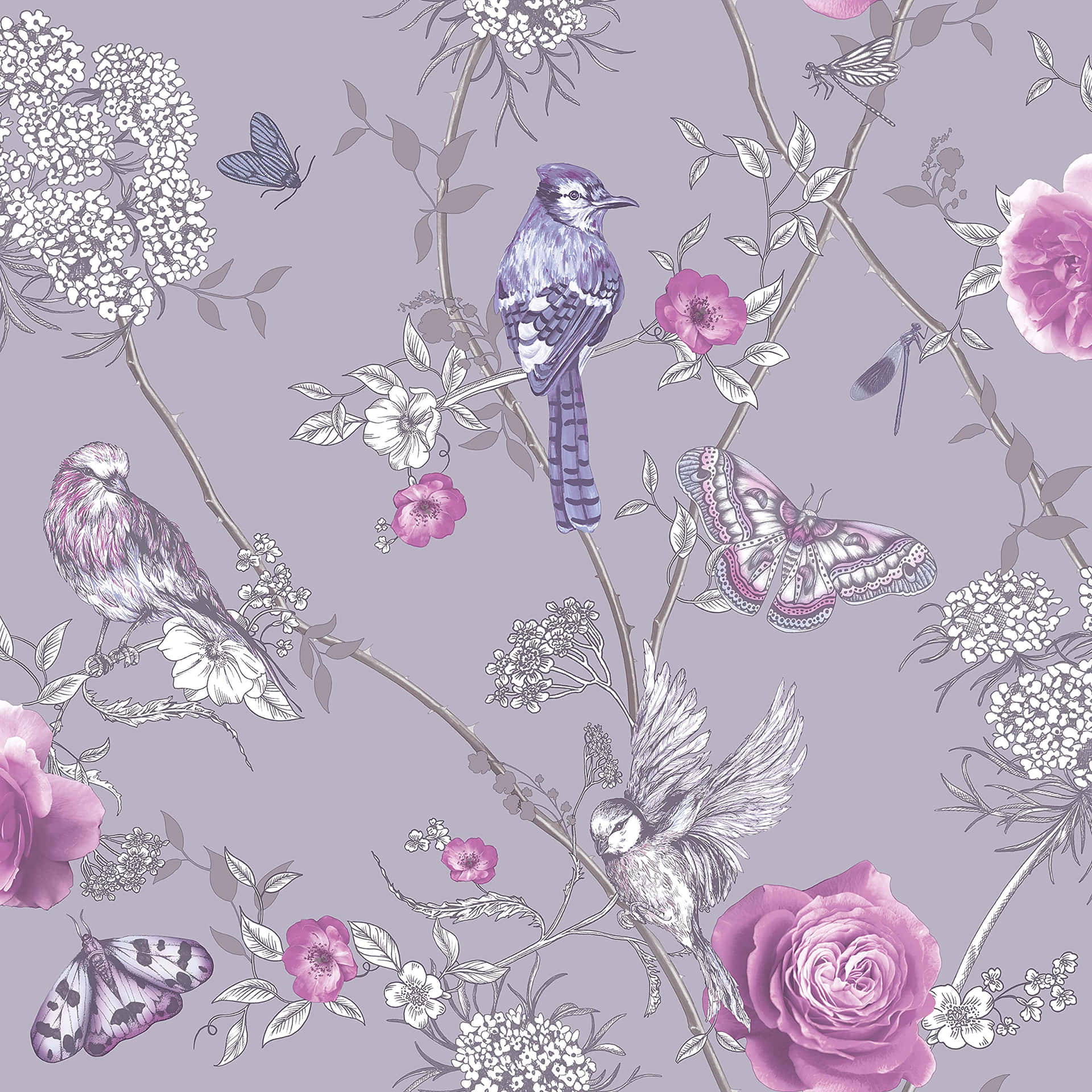 Lilac Color Background Wallpaper