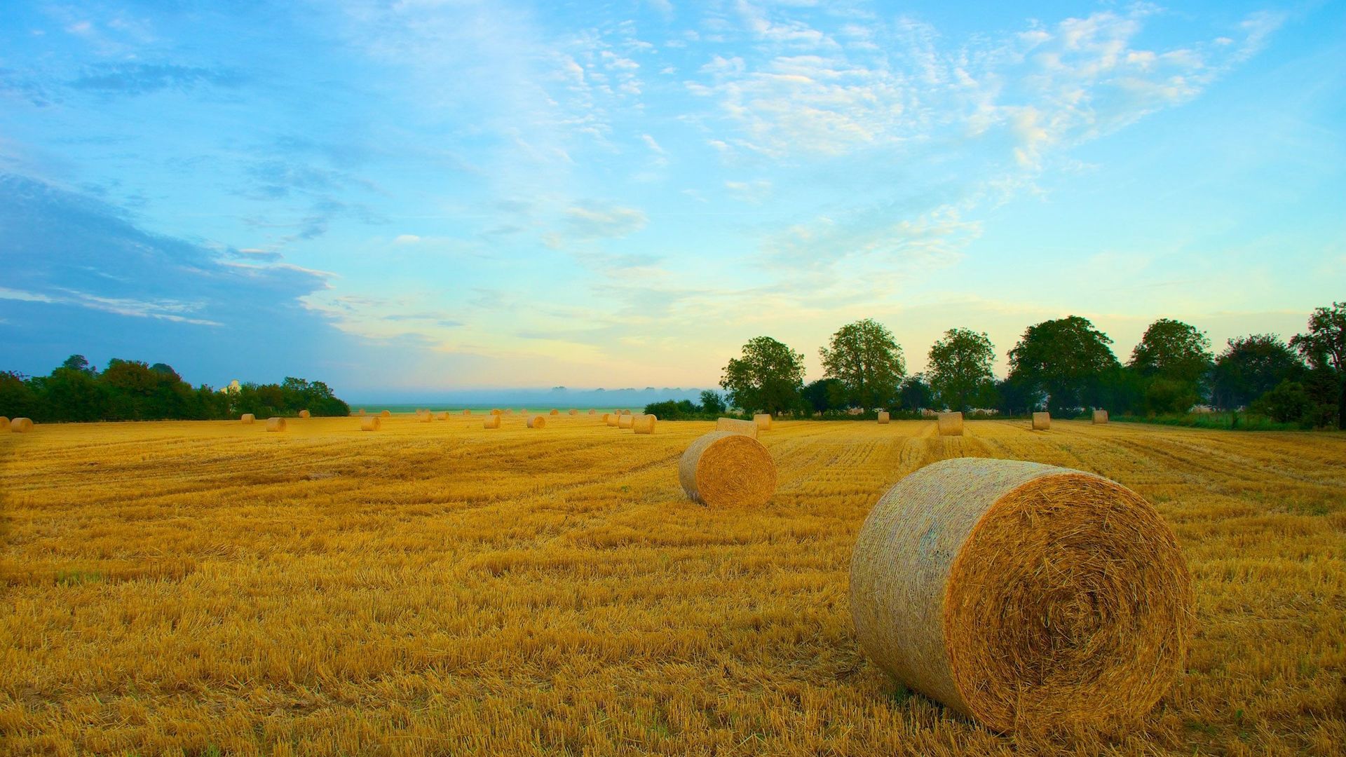 Hay Bales On The Field Wallpaper