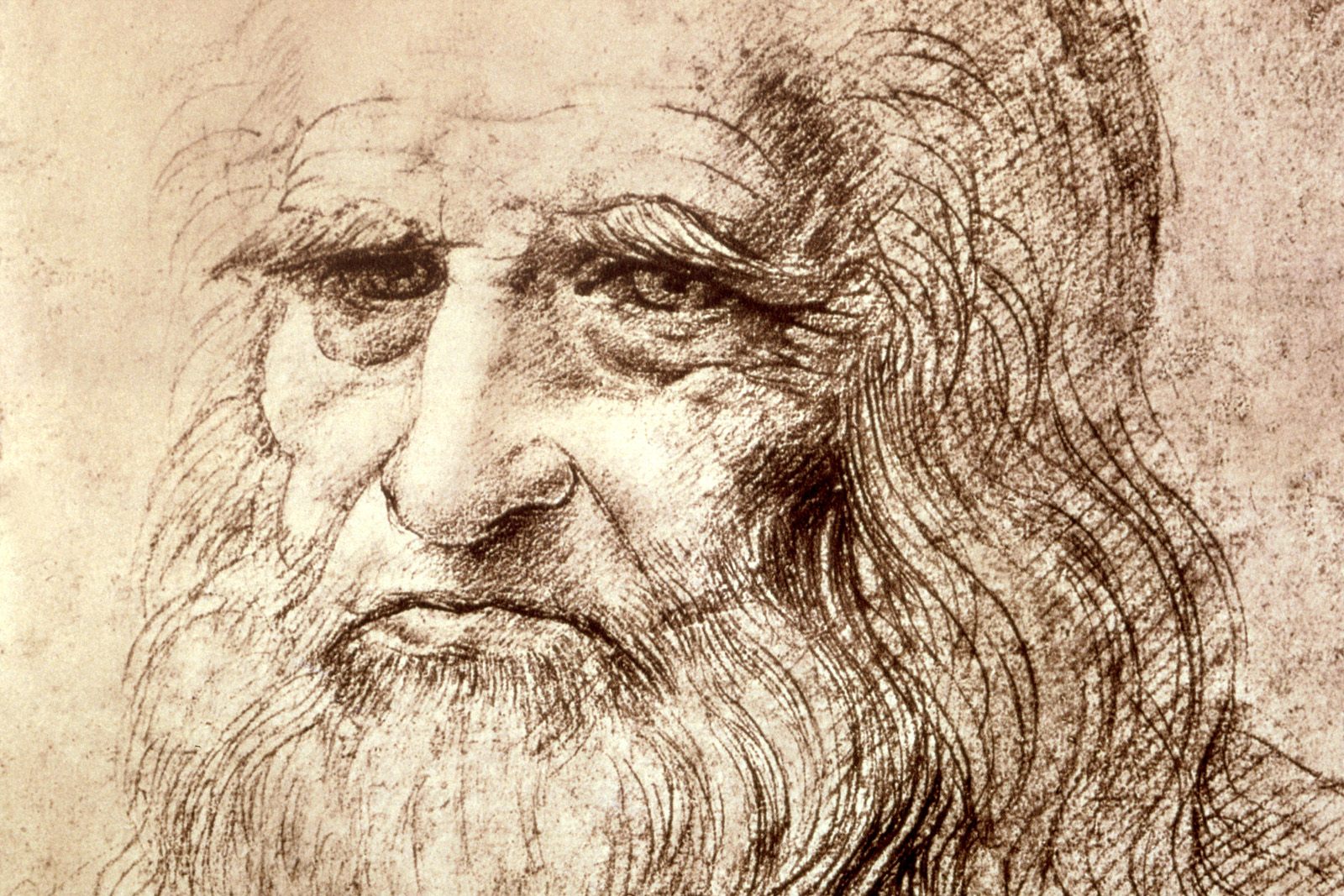Leonardo Da Vinci Wallpaper Drawings