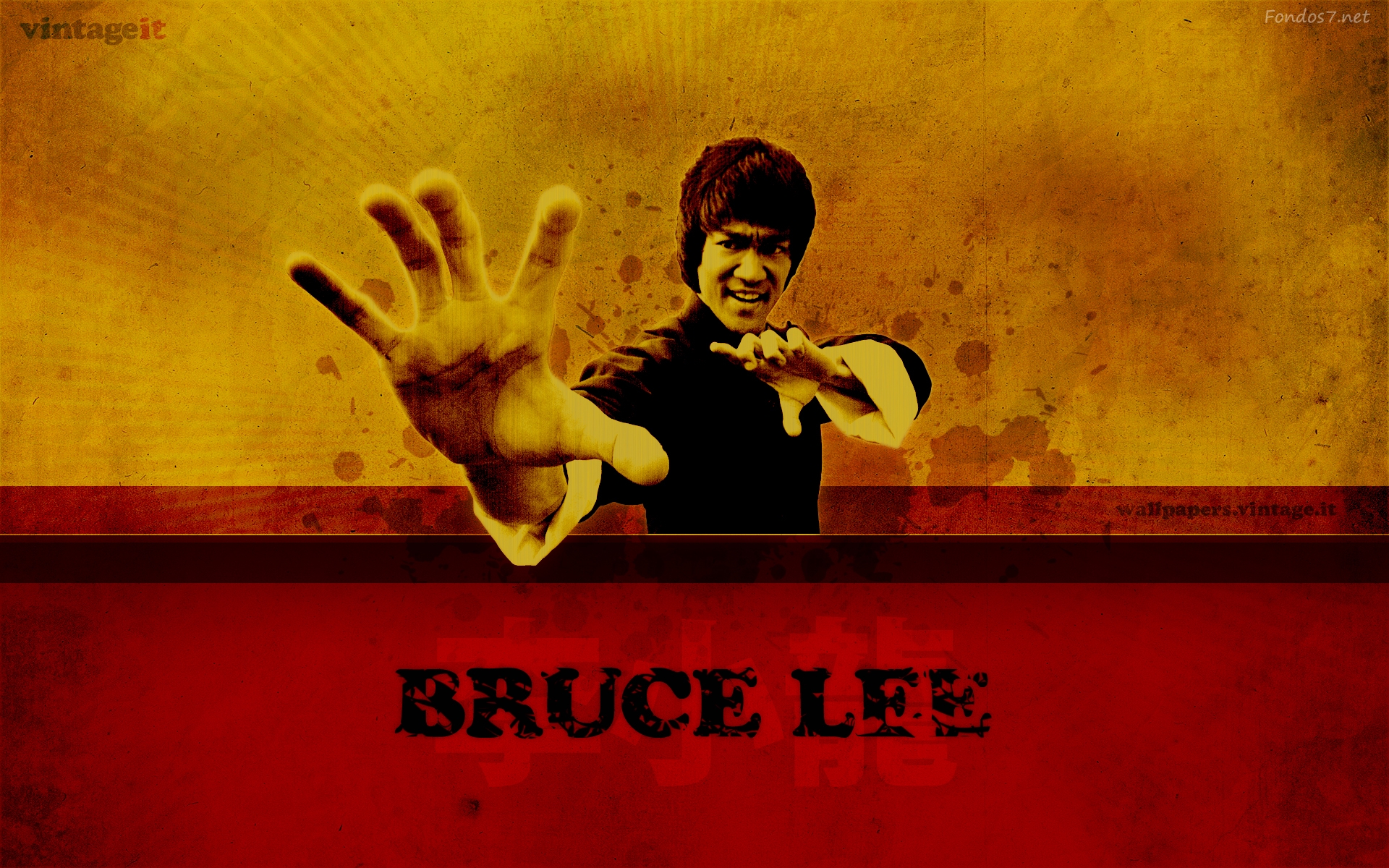 Bruce Lee wallpaper   201554