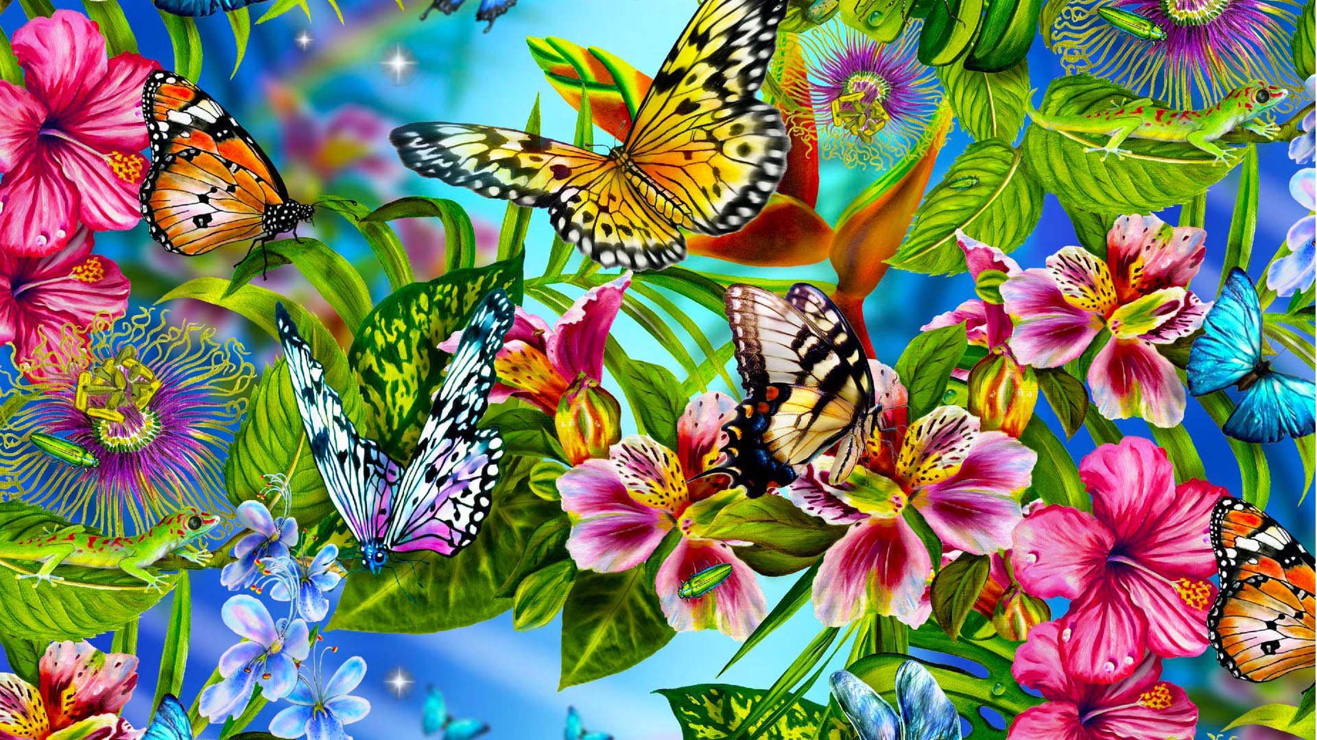 Abstract Butterfly Wallpapers HD Wallpaper 1920x1080
