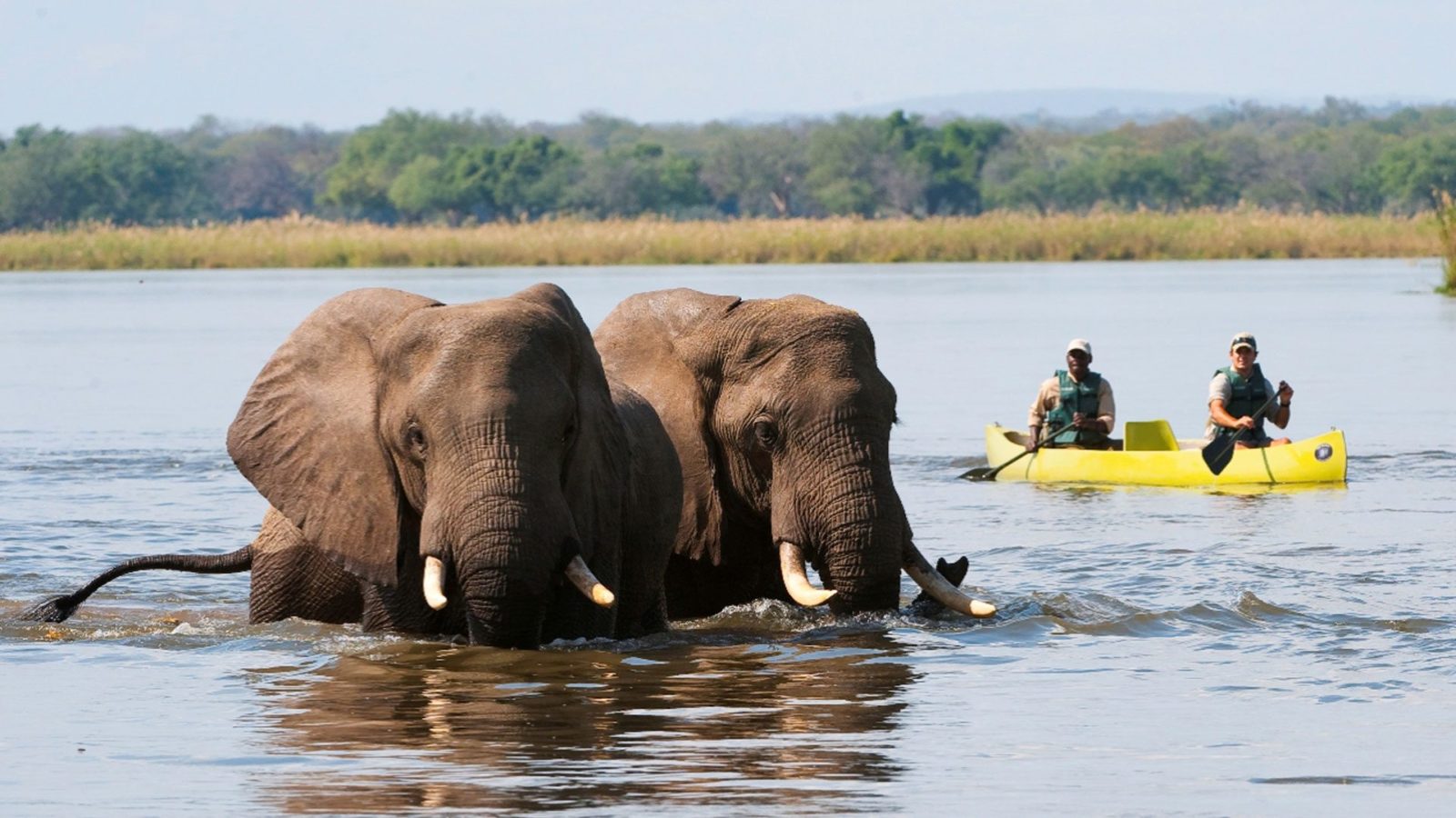 Lower Zambezi National Park And Lodges Andbeyond