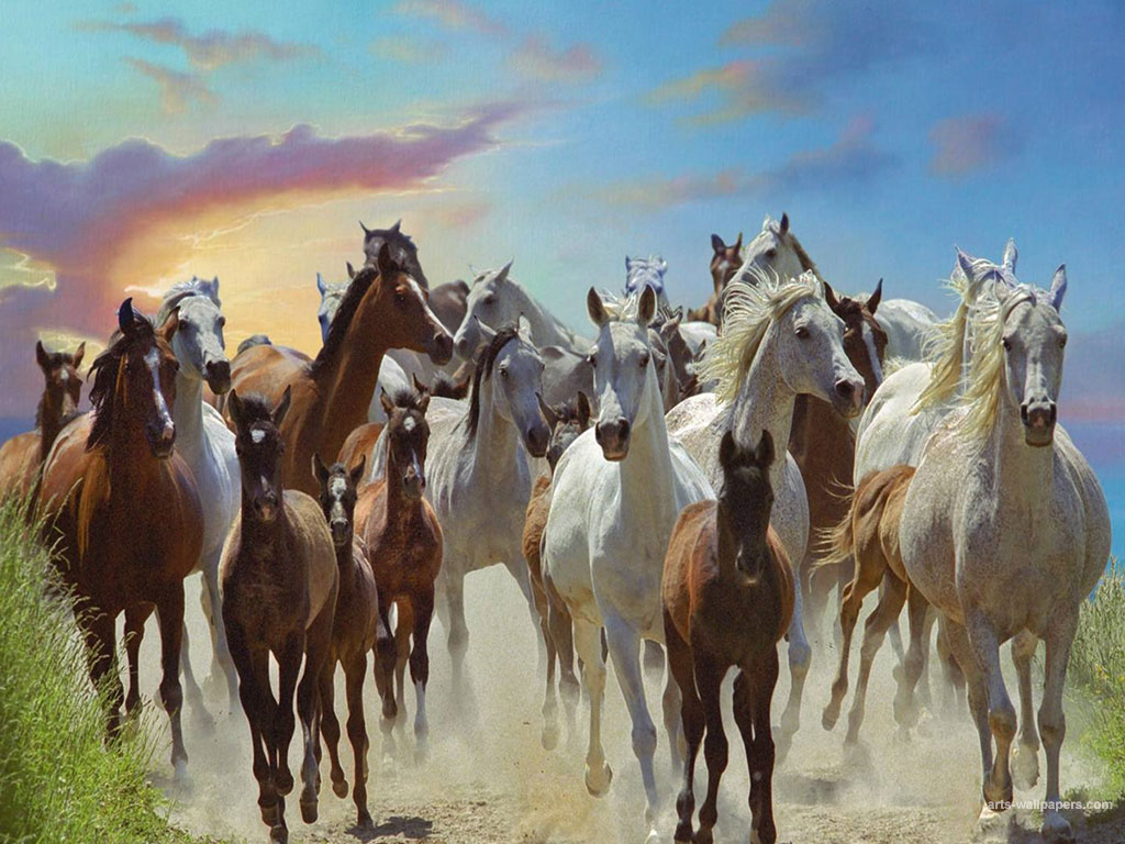 Horse Paintings Art Wallpaper Painting