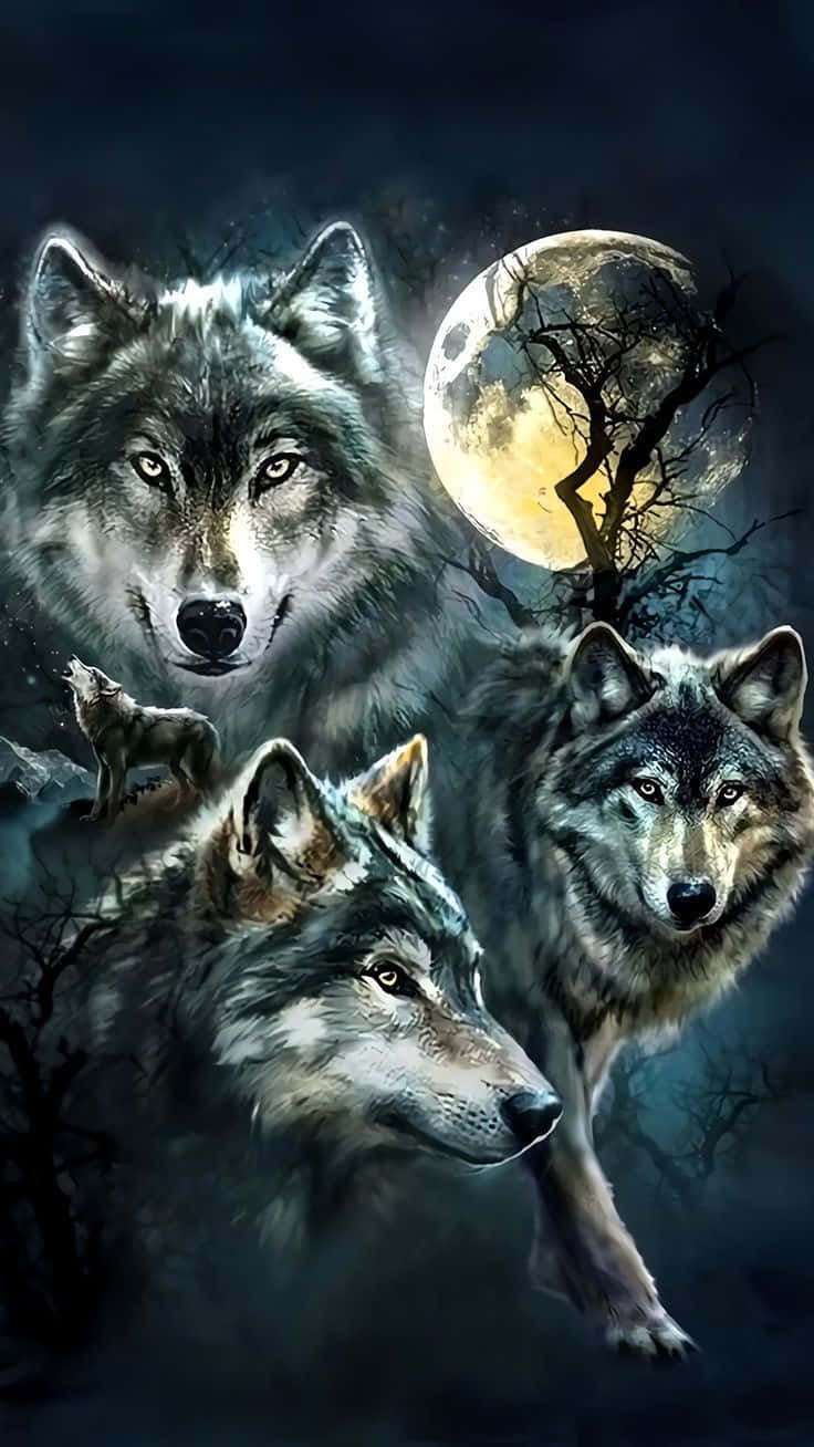 Wolf iPhone Wallpaper
