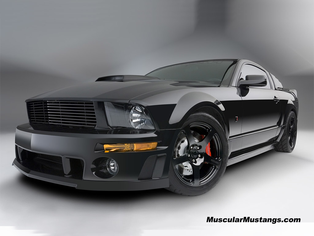 Related Searches For Roush Mustang Wallpaper