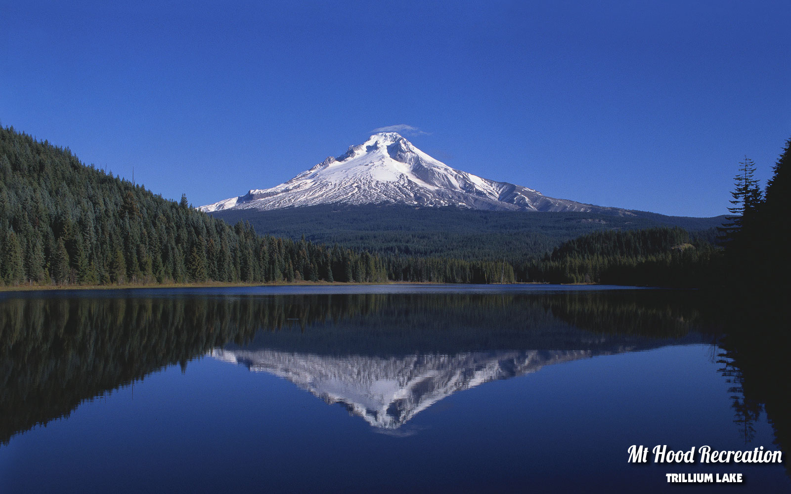 Mount Hood Image Pictures Becuo