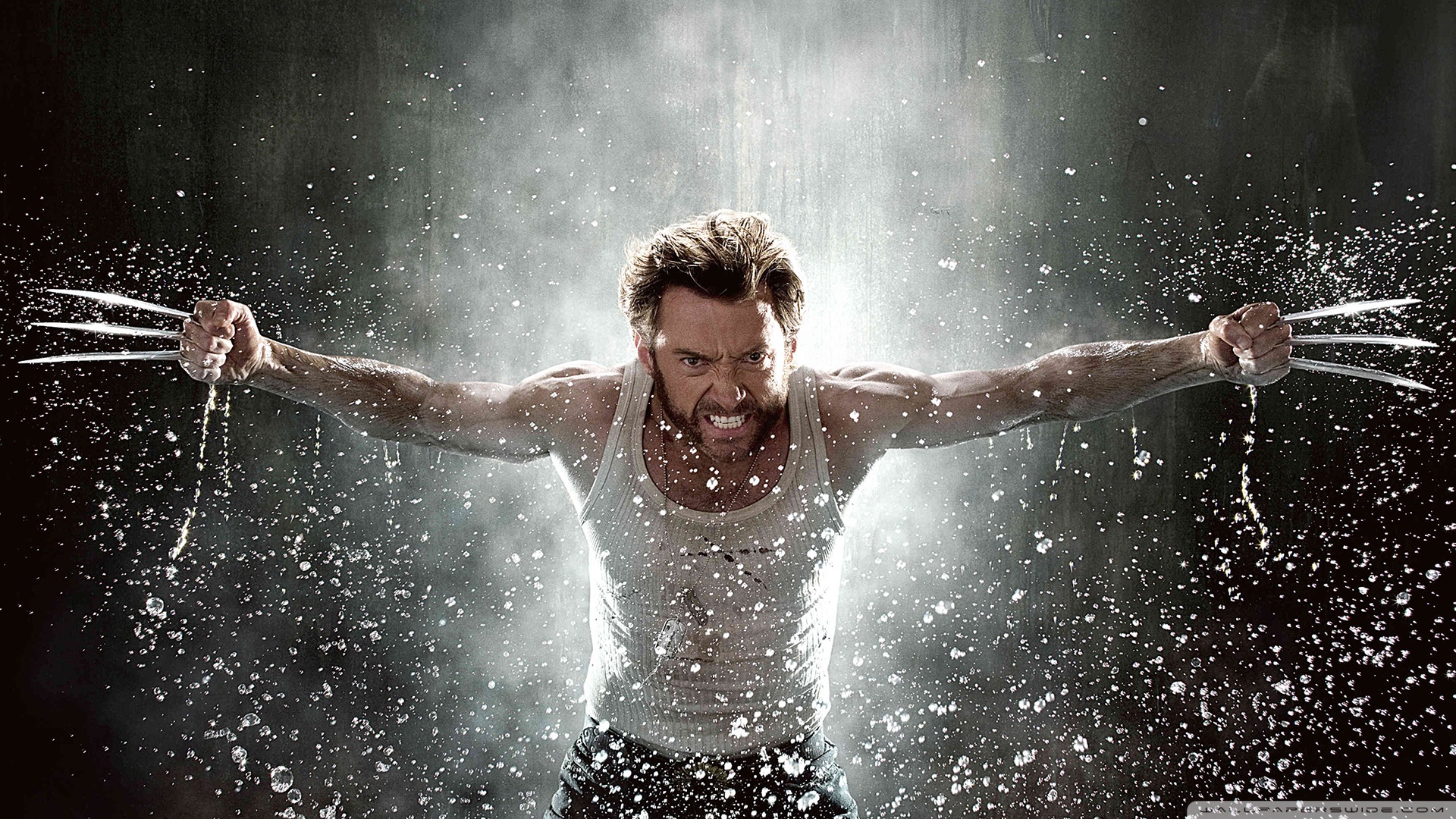 The Wolverine Exclusive HD Wallpaper