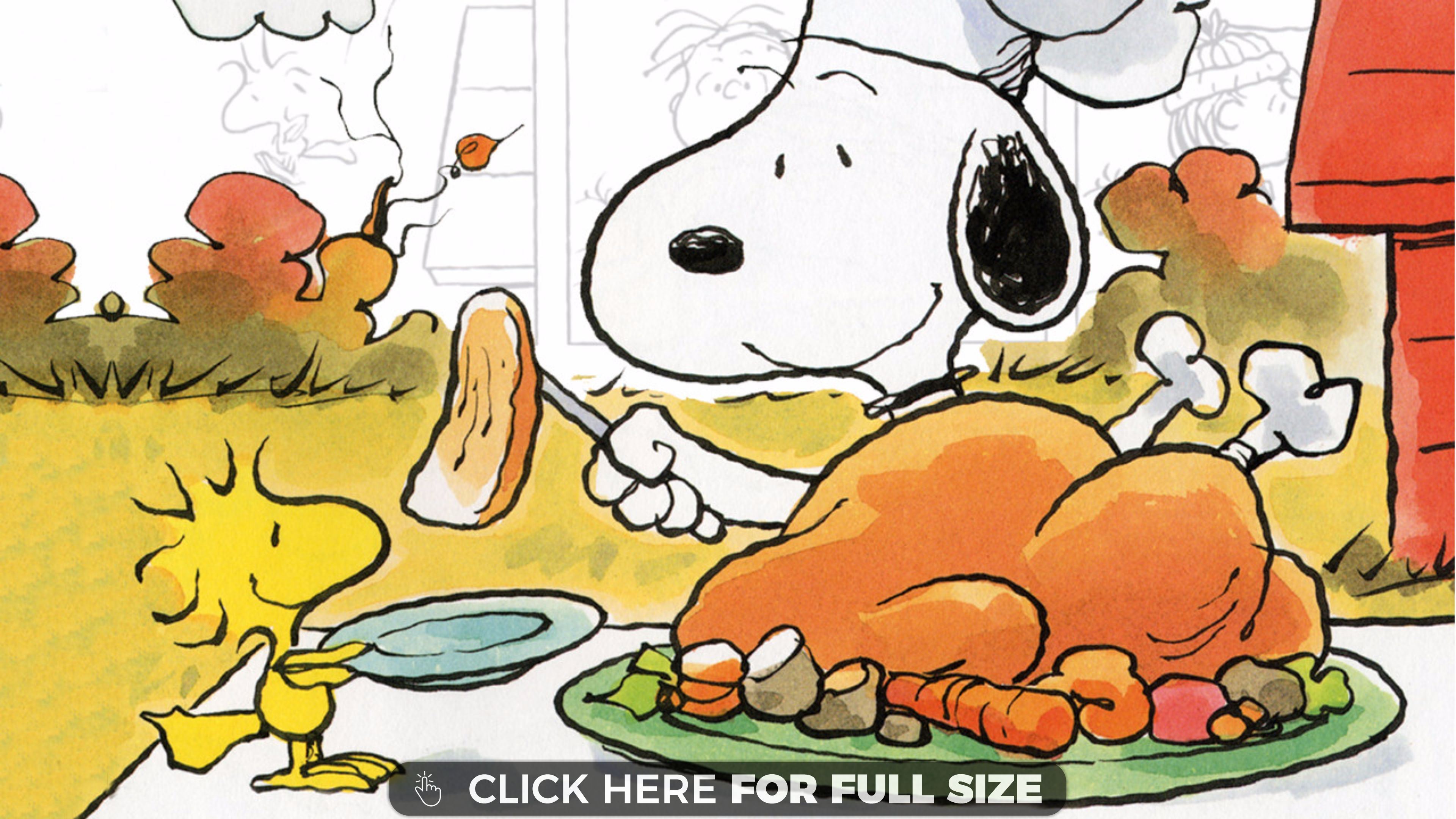 Pics Photos   Snoopy Thanksgiving Wallpaper With 300 150 Pixel