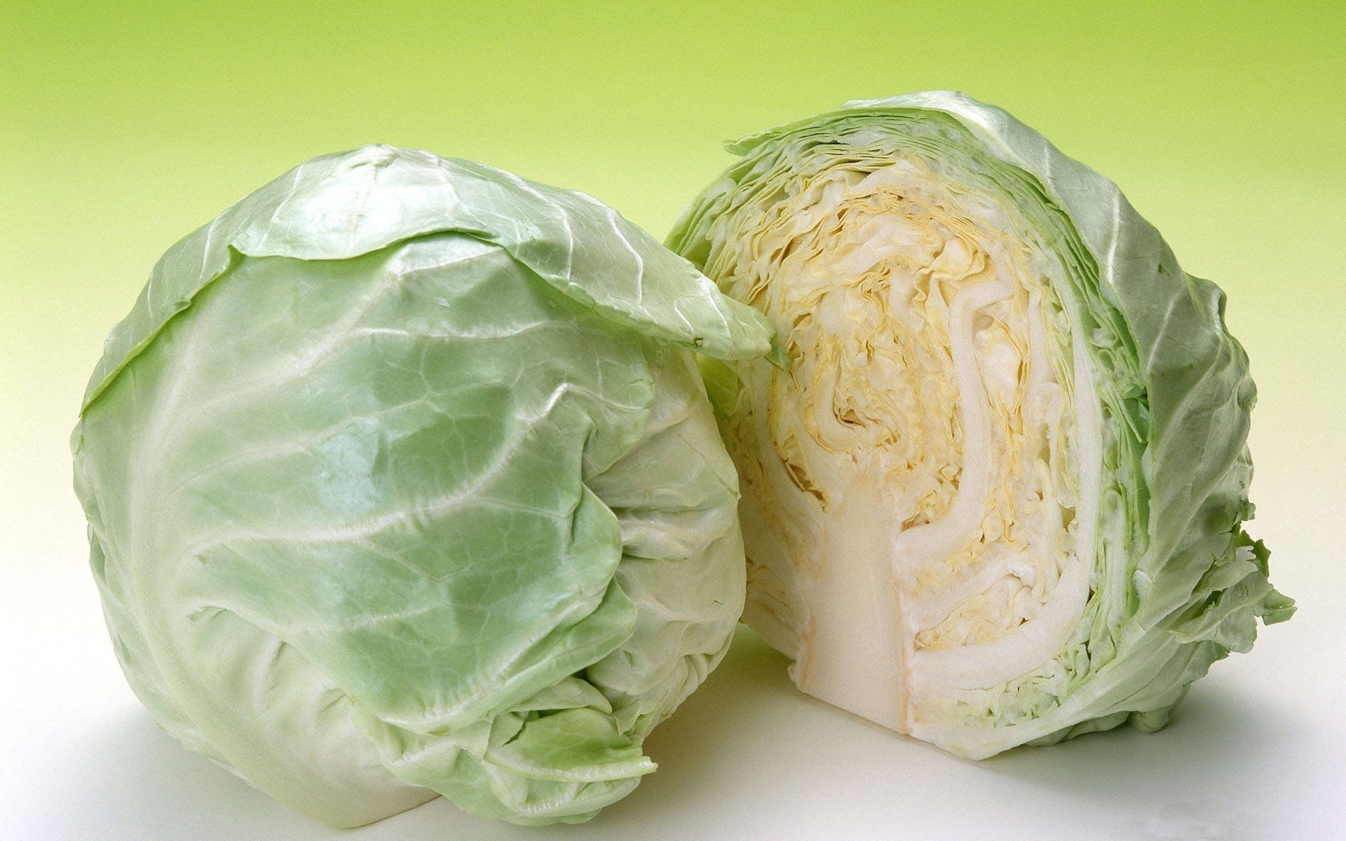 Cabbage HD Wallpaper Background Image