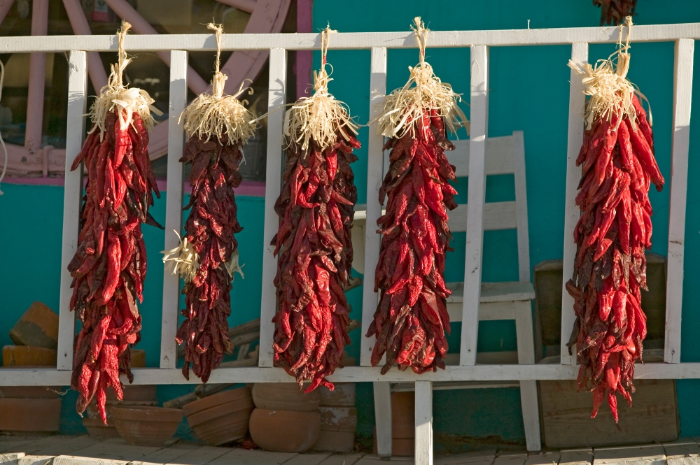 Chili Peppers On Mescalero Apache Indian Reservation Near Ruidoso
